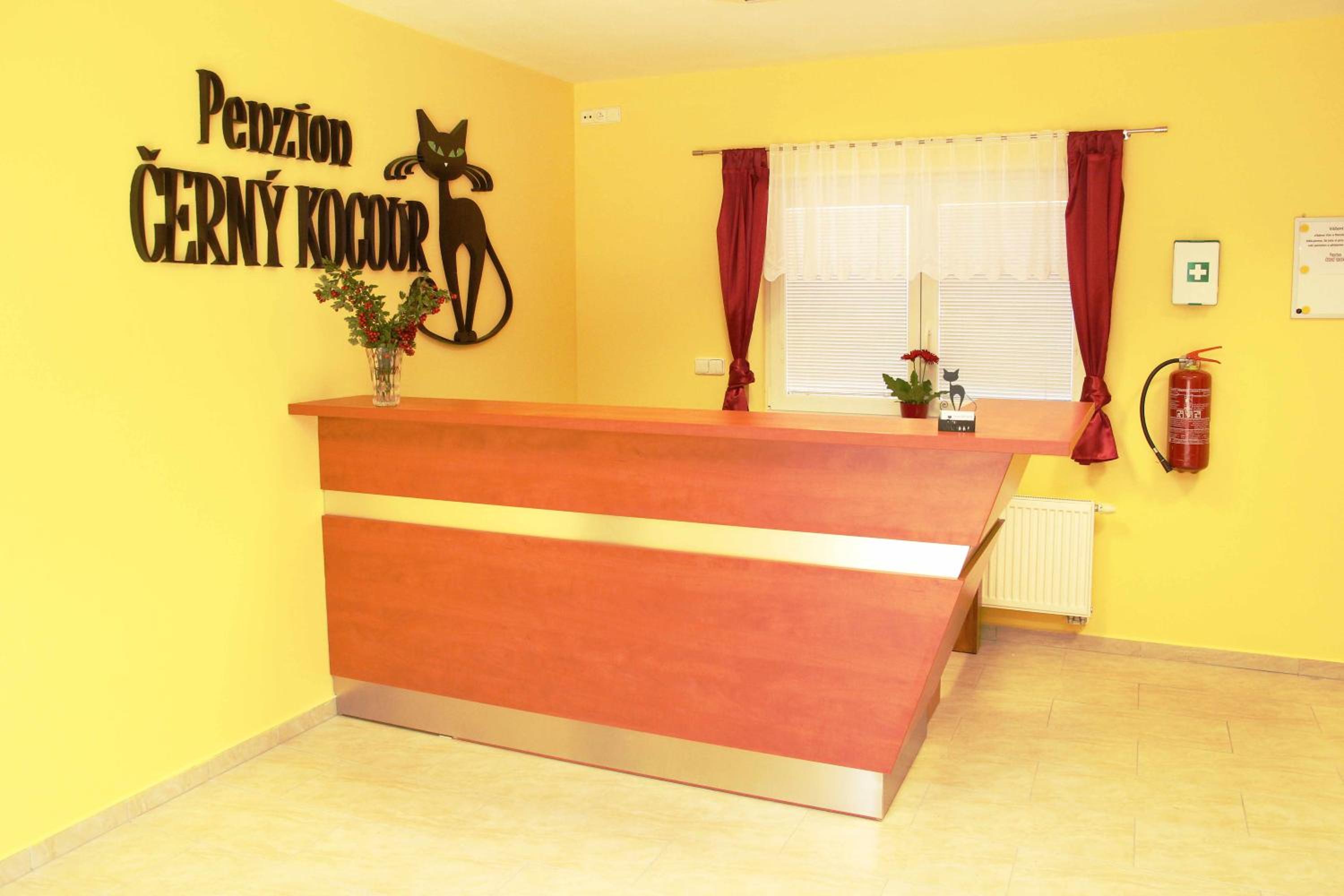 Černý Kocour Apart hotel view 5