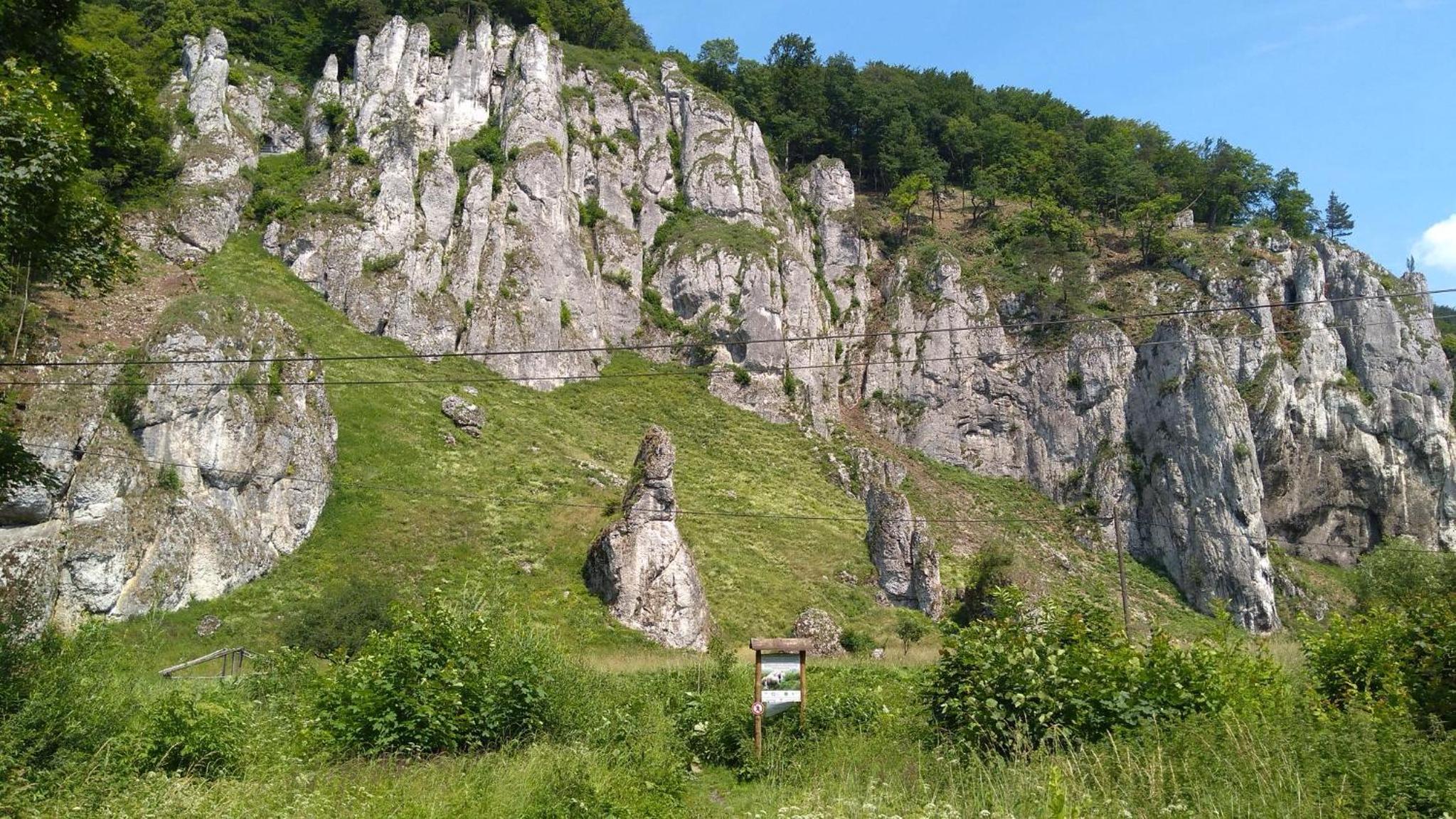 Photo 27