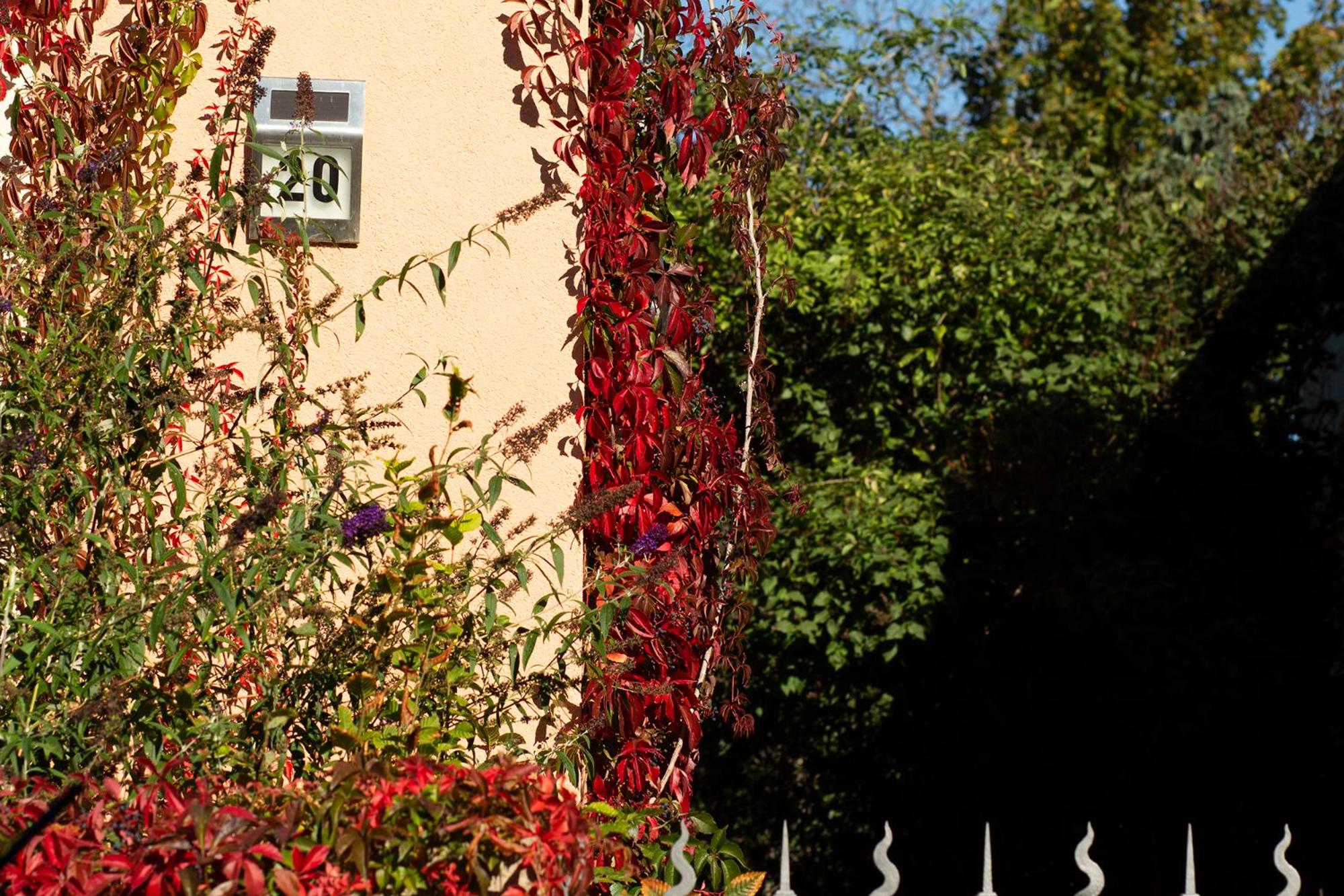 Photo 42