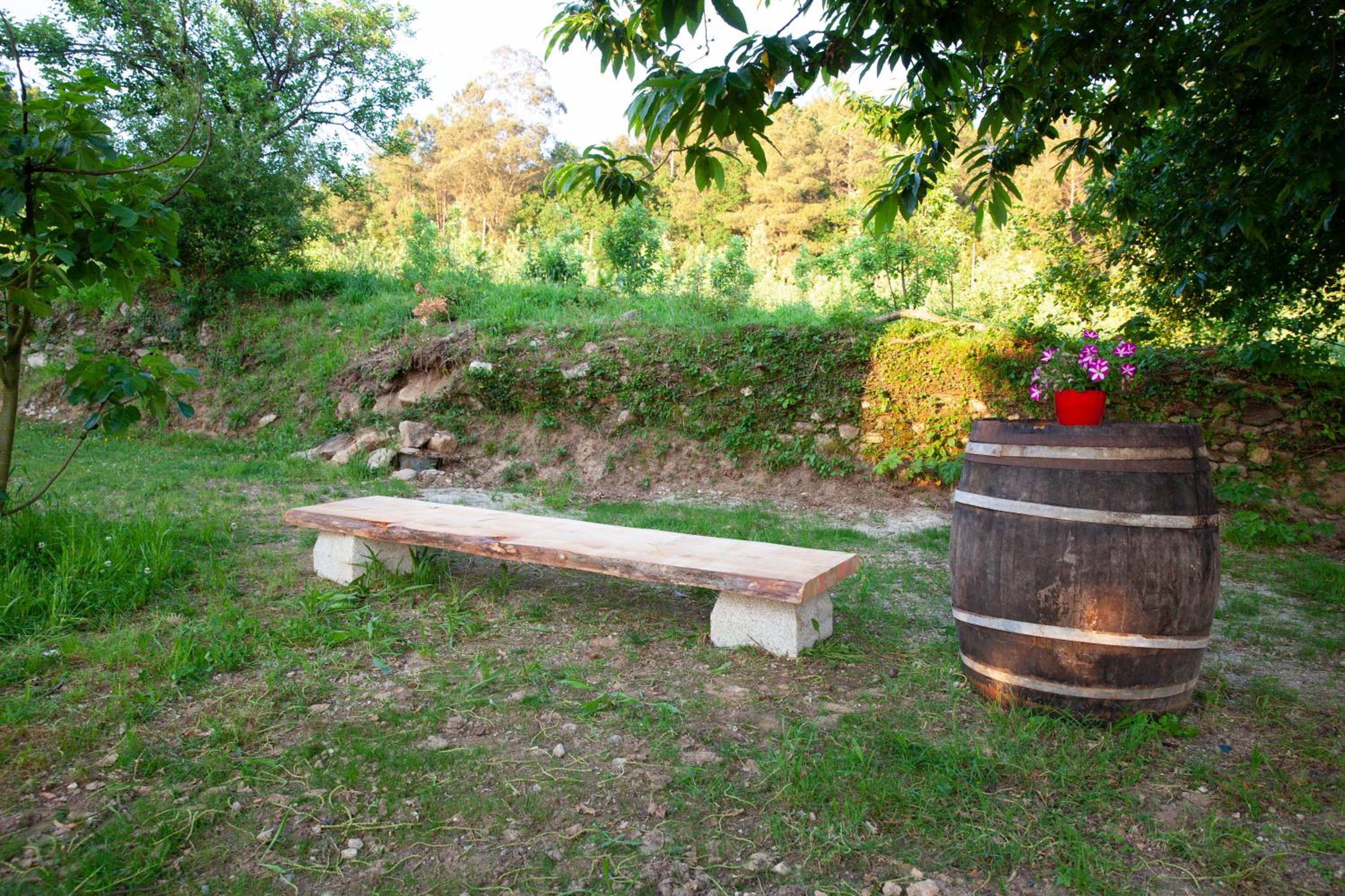 Photo 27