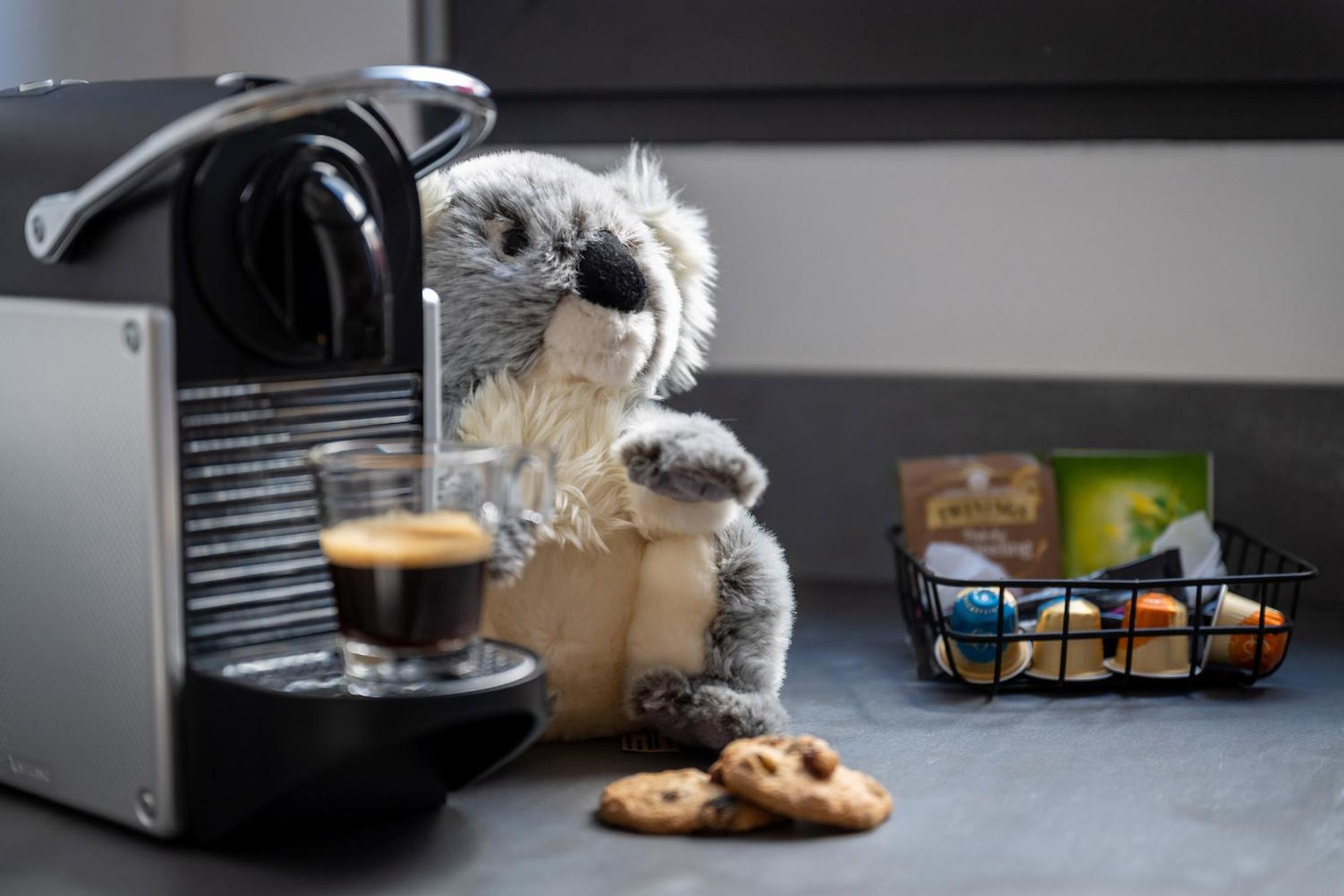 Koaloft, photo 12