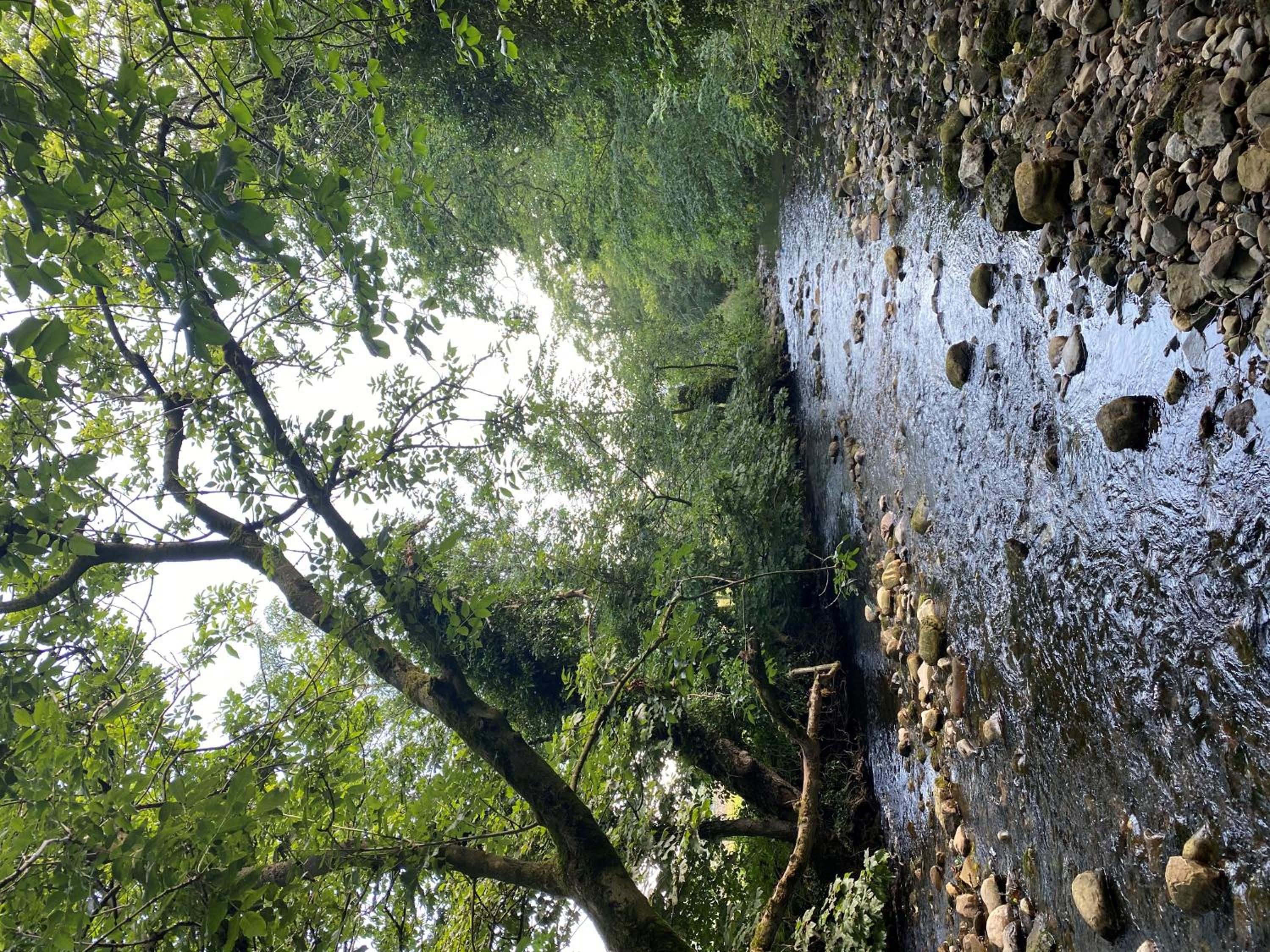 Photo 47
