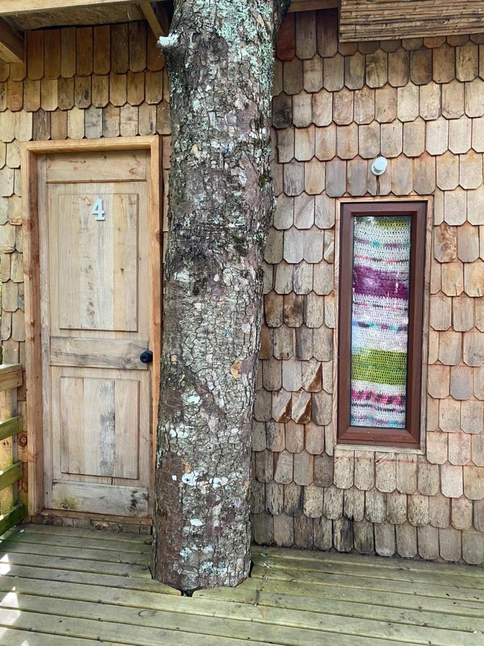Photo 38