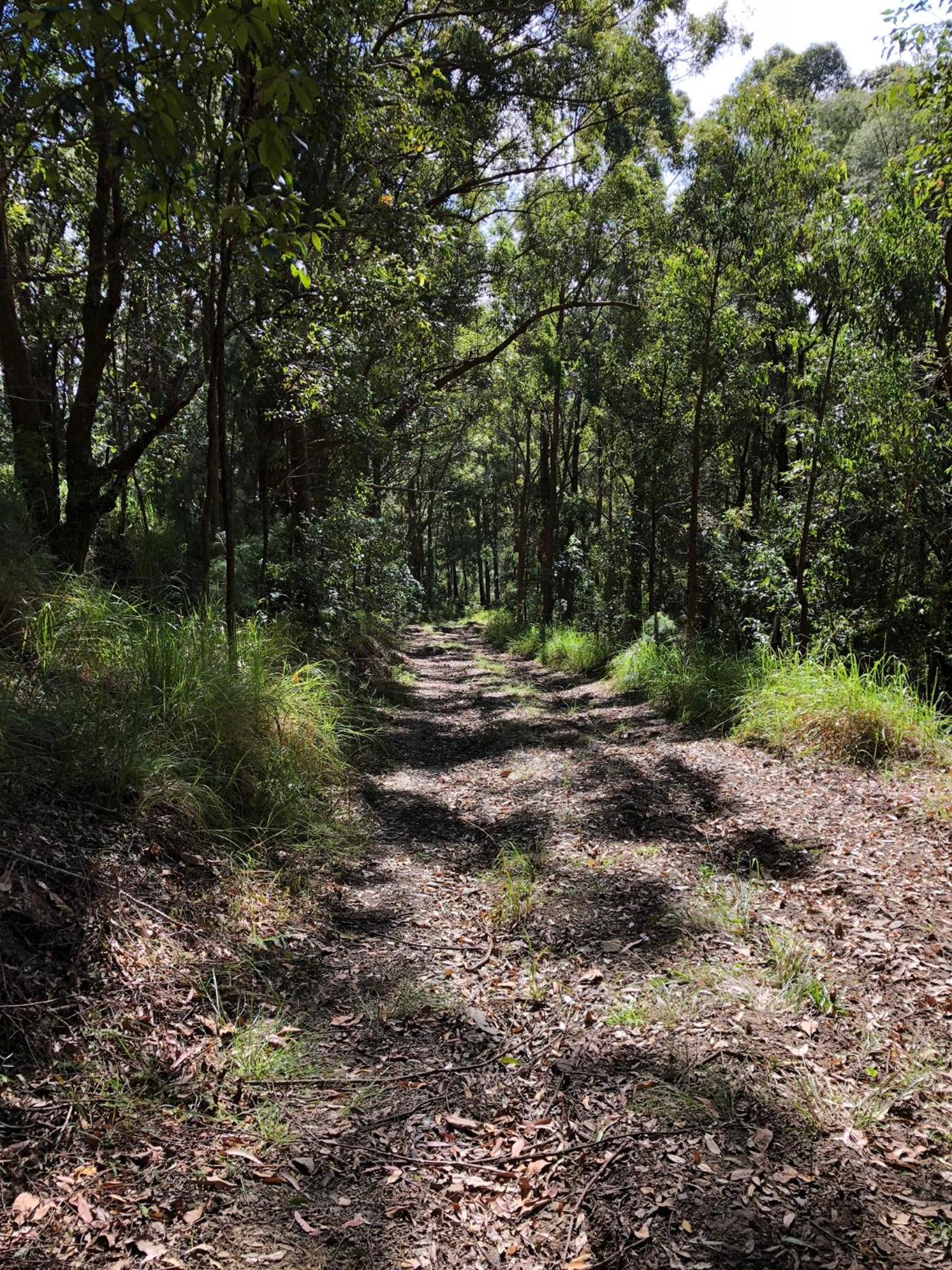 The Ridge at Maleny