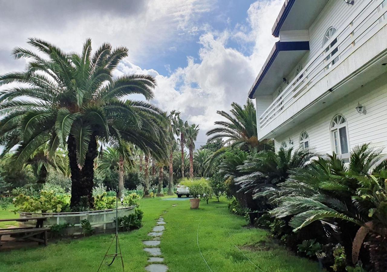 Jeju Resortel