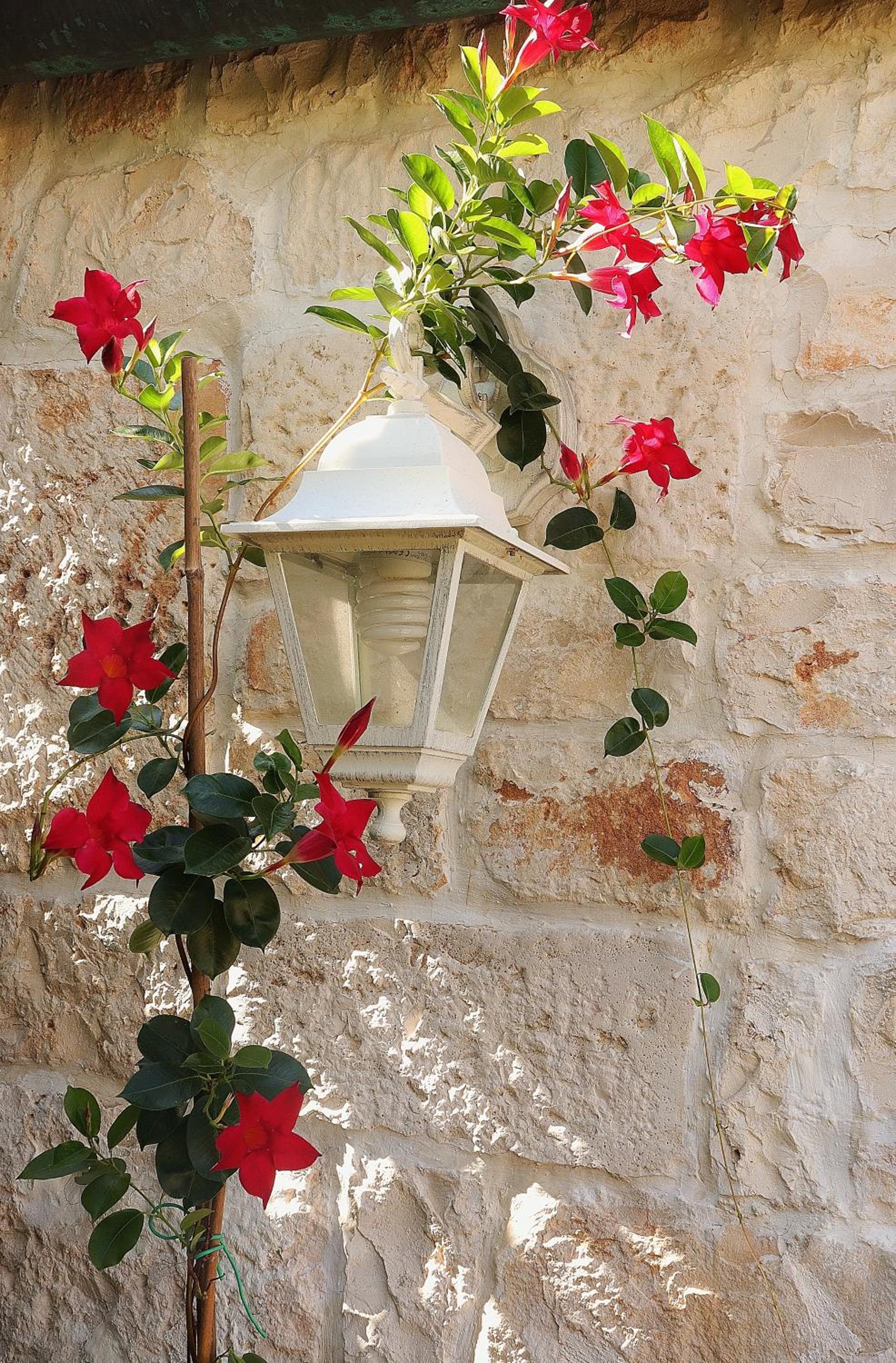 Trulli and Nature