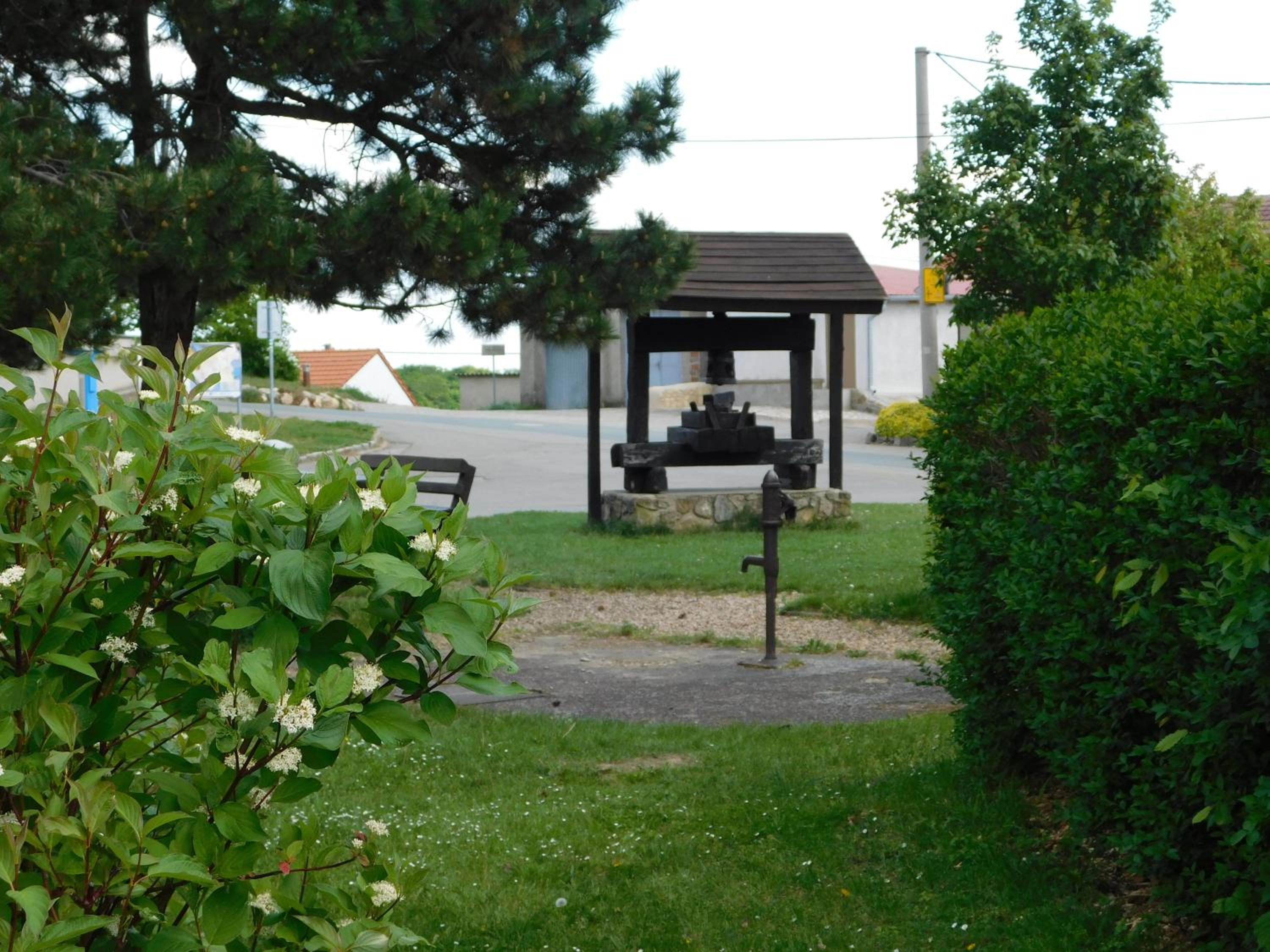 Photo 19