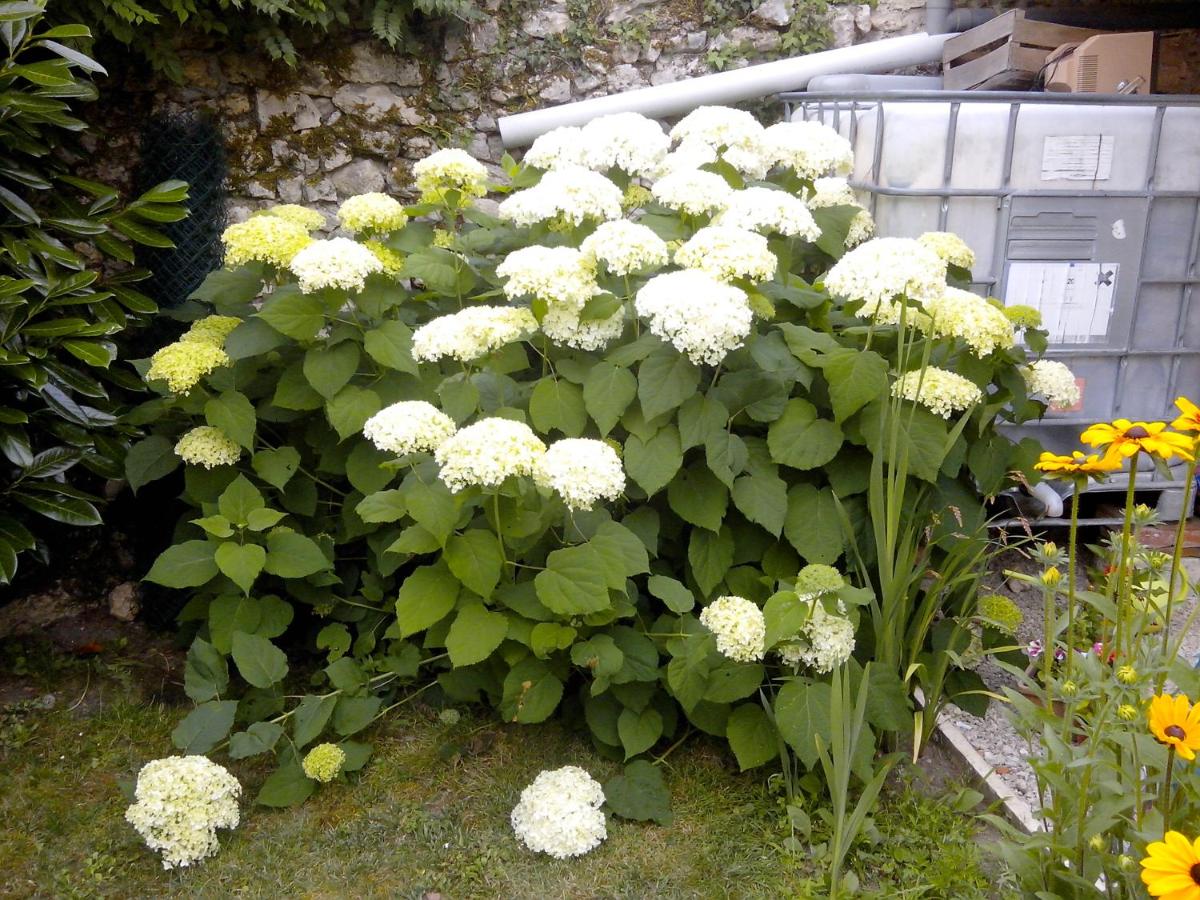 Photo 17