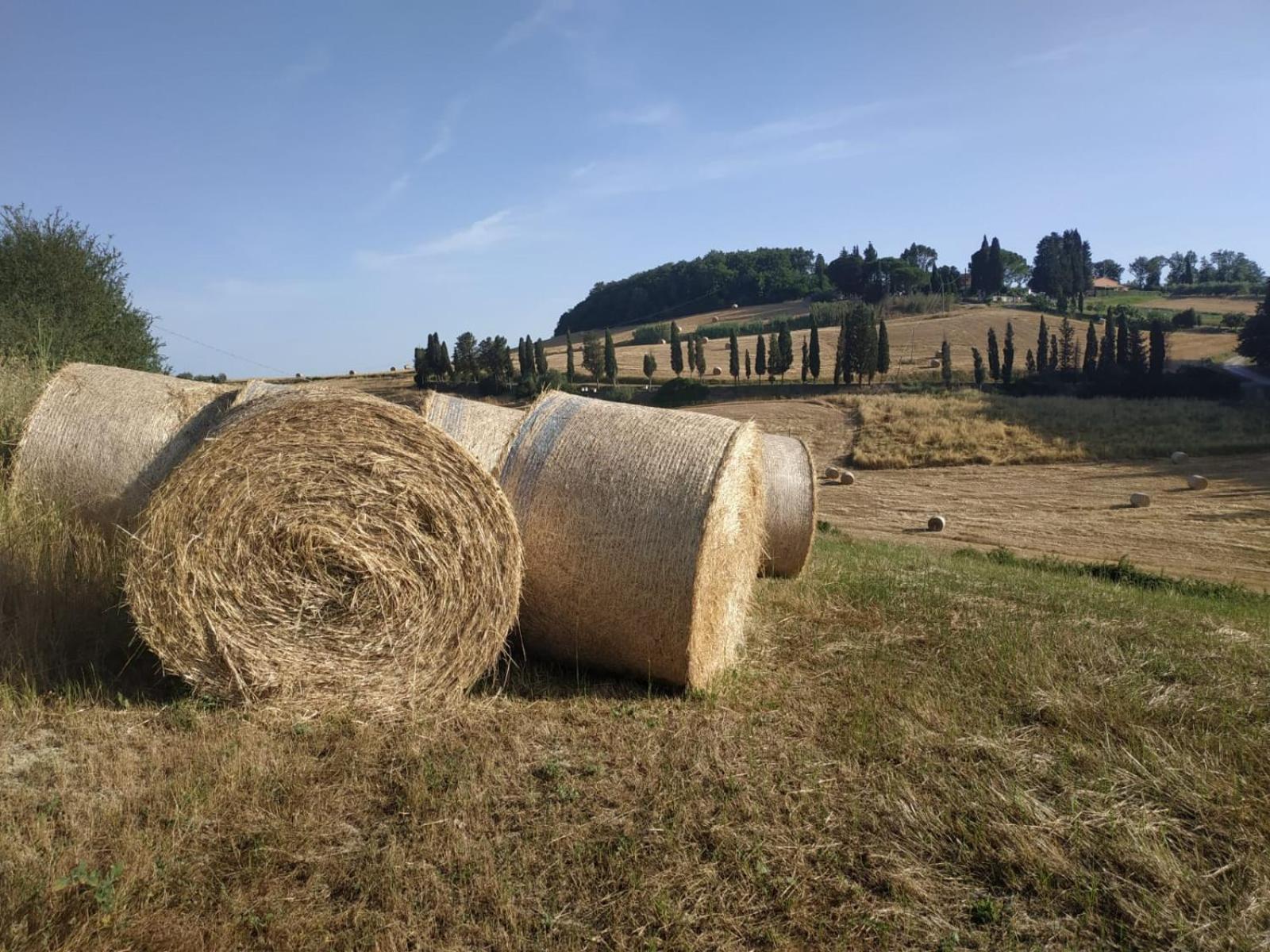 B & B CUORE TOSCANO view 5