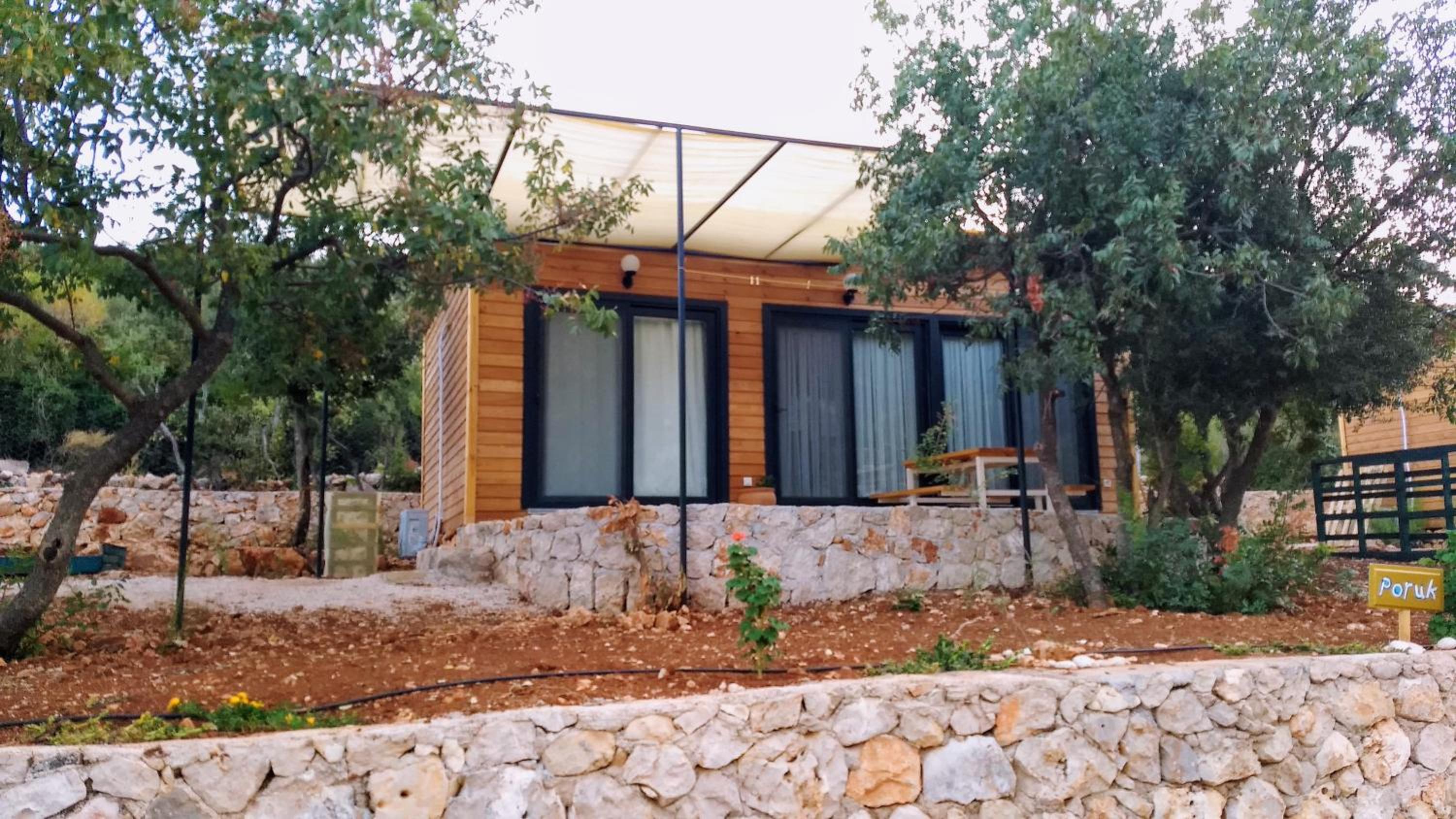 Photo 50