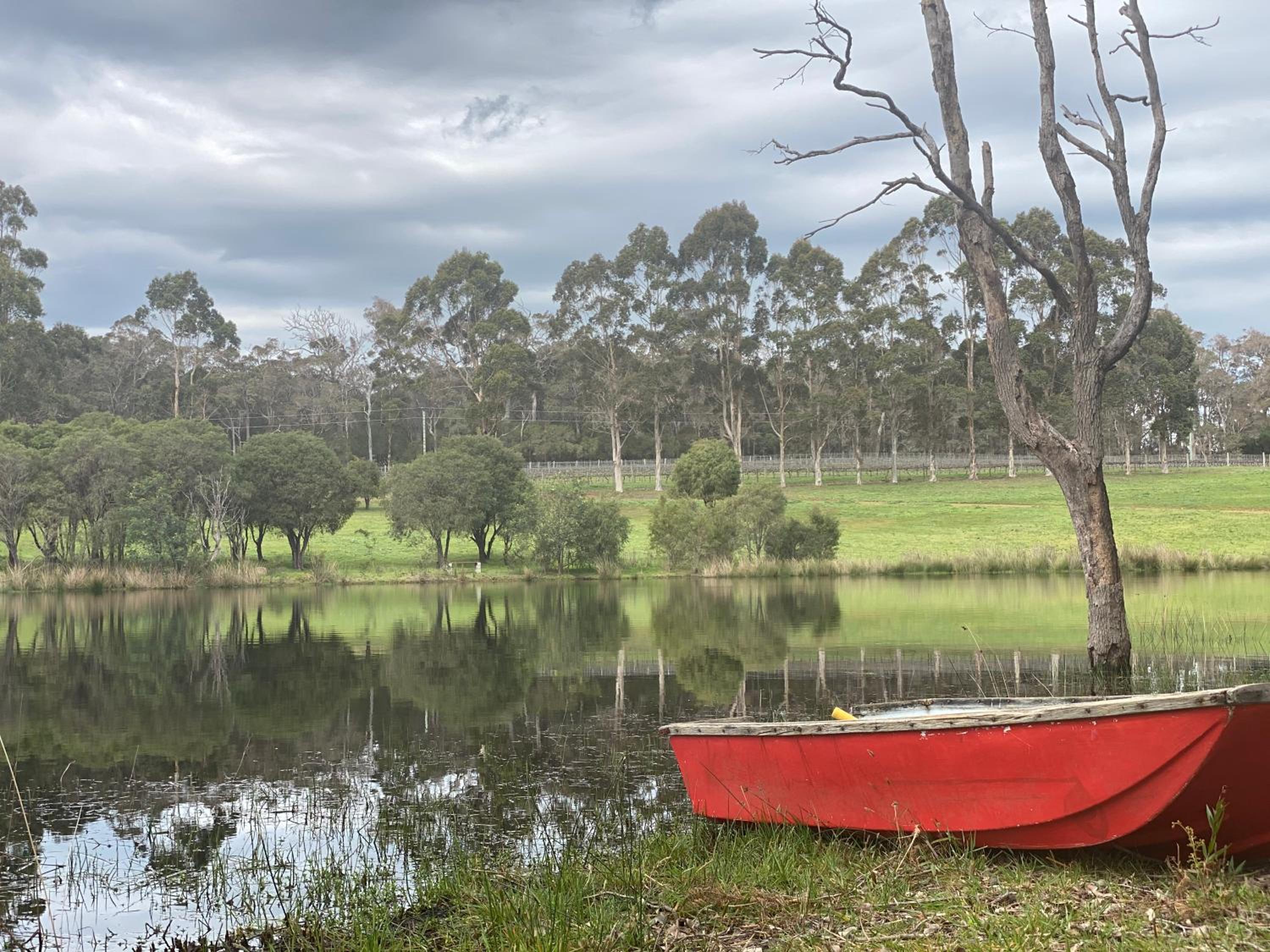 Harmony Forest Cottages & Lake side Lodge