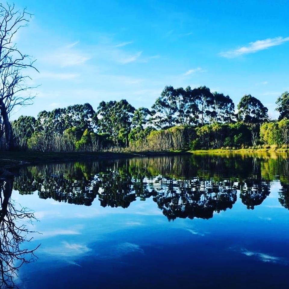 Harmony Forest Cottages & Lake side Lodge