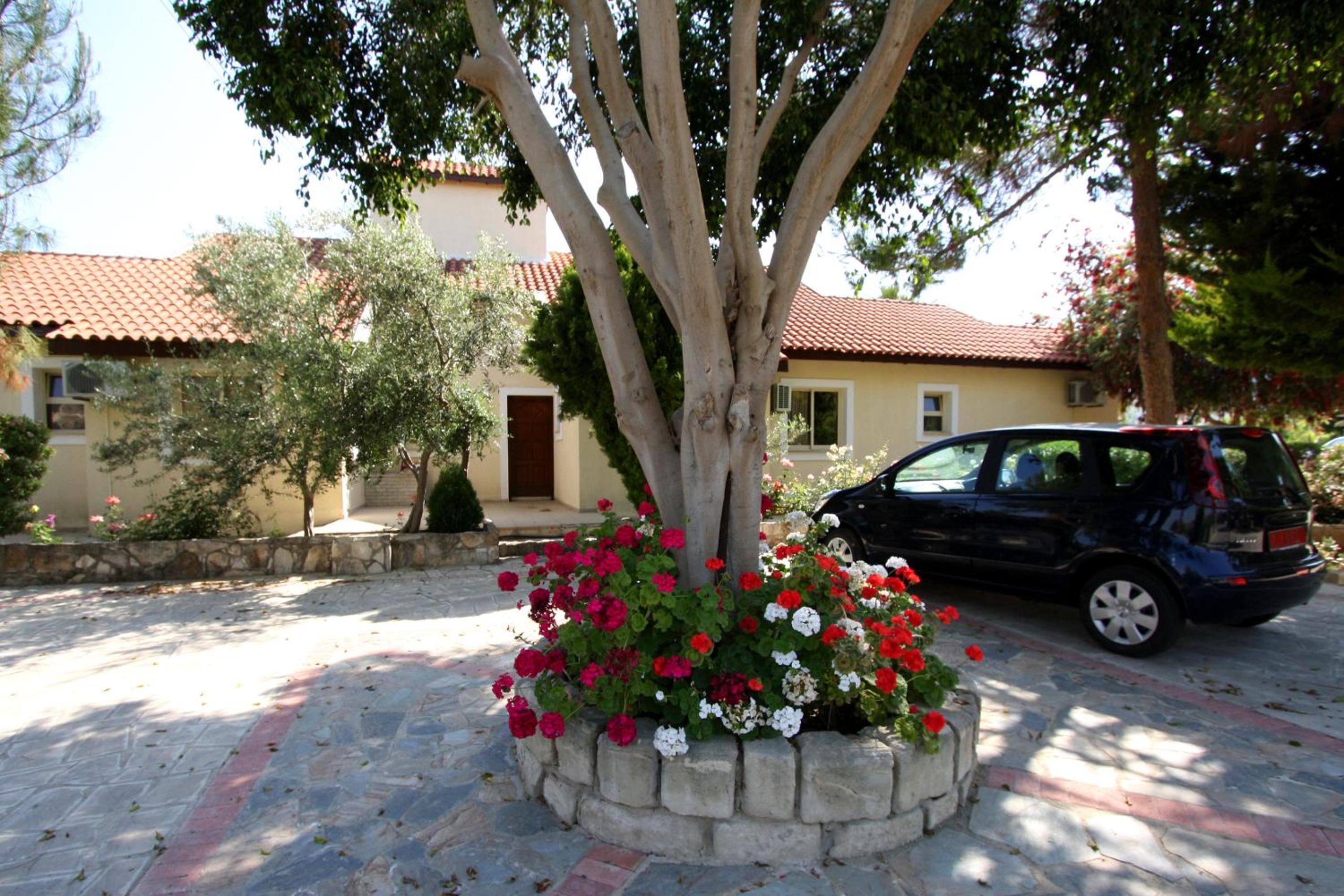 Photo 25