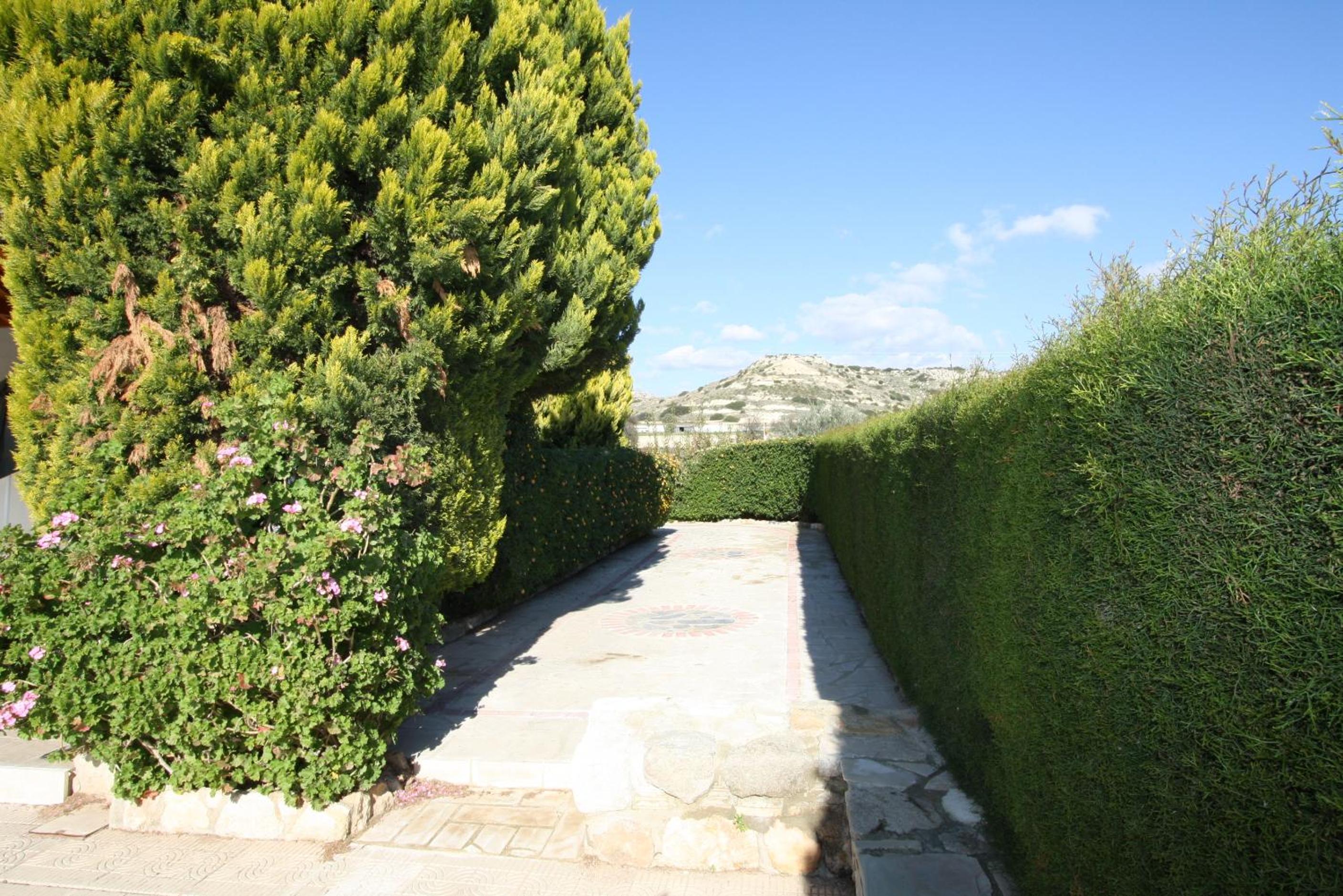 Photo 33