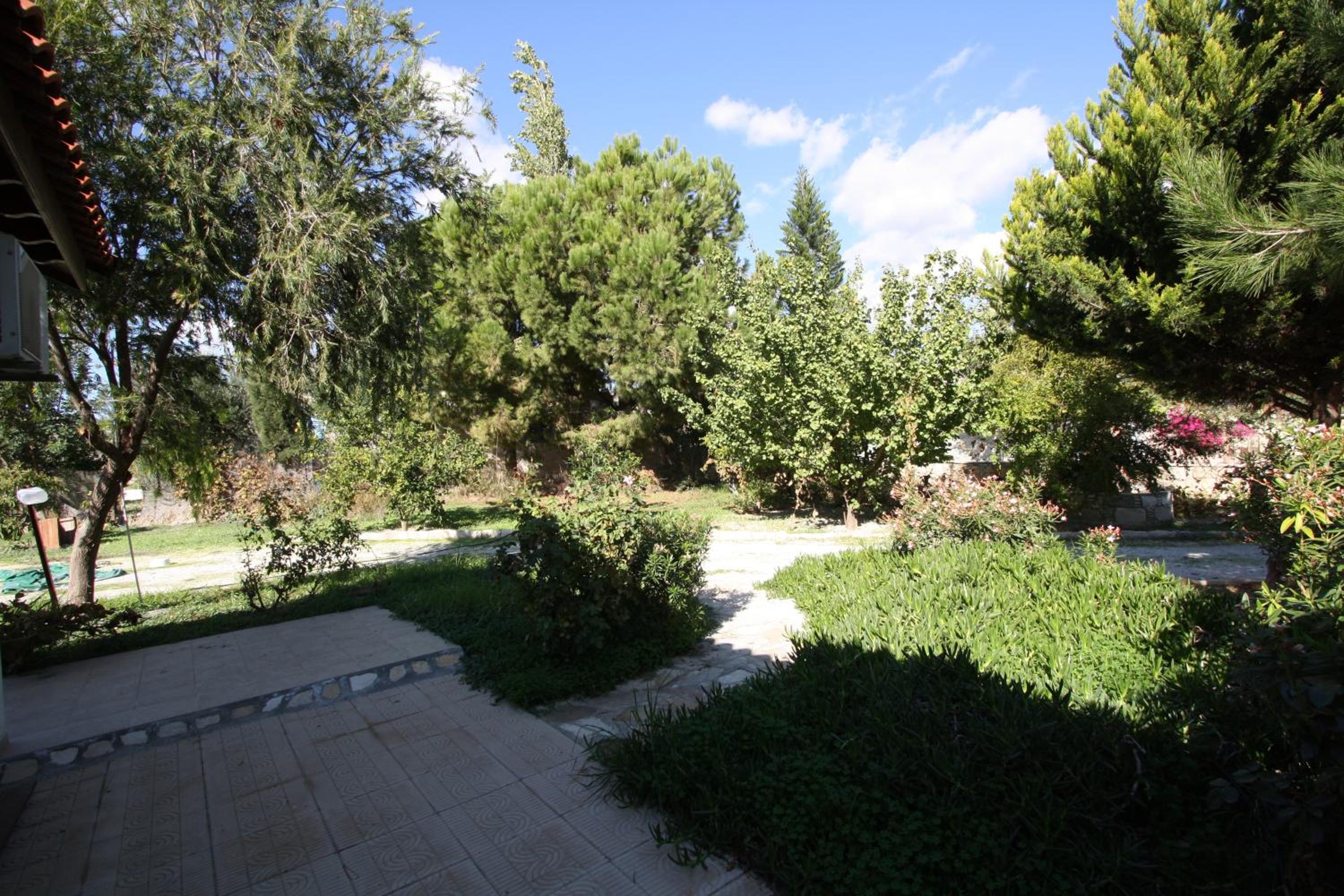 Photo 28