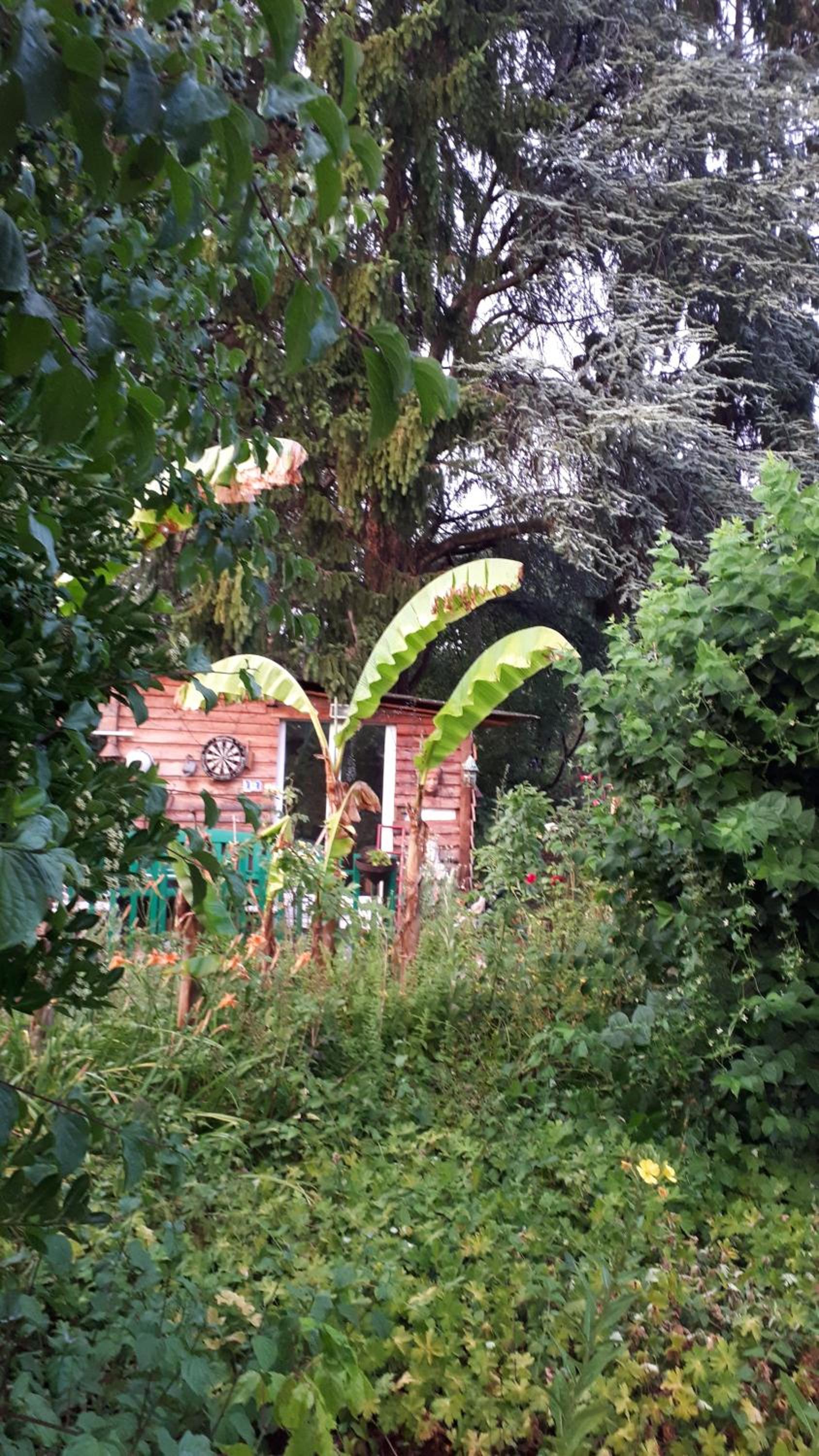 Le Jardin des Merveilles view 4