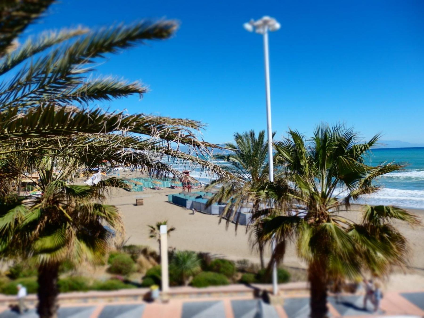 Puerto view 3
