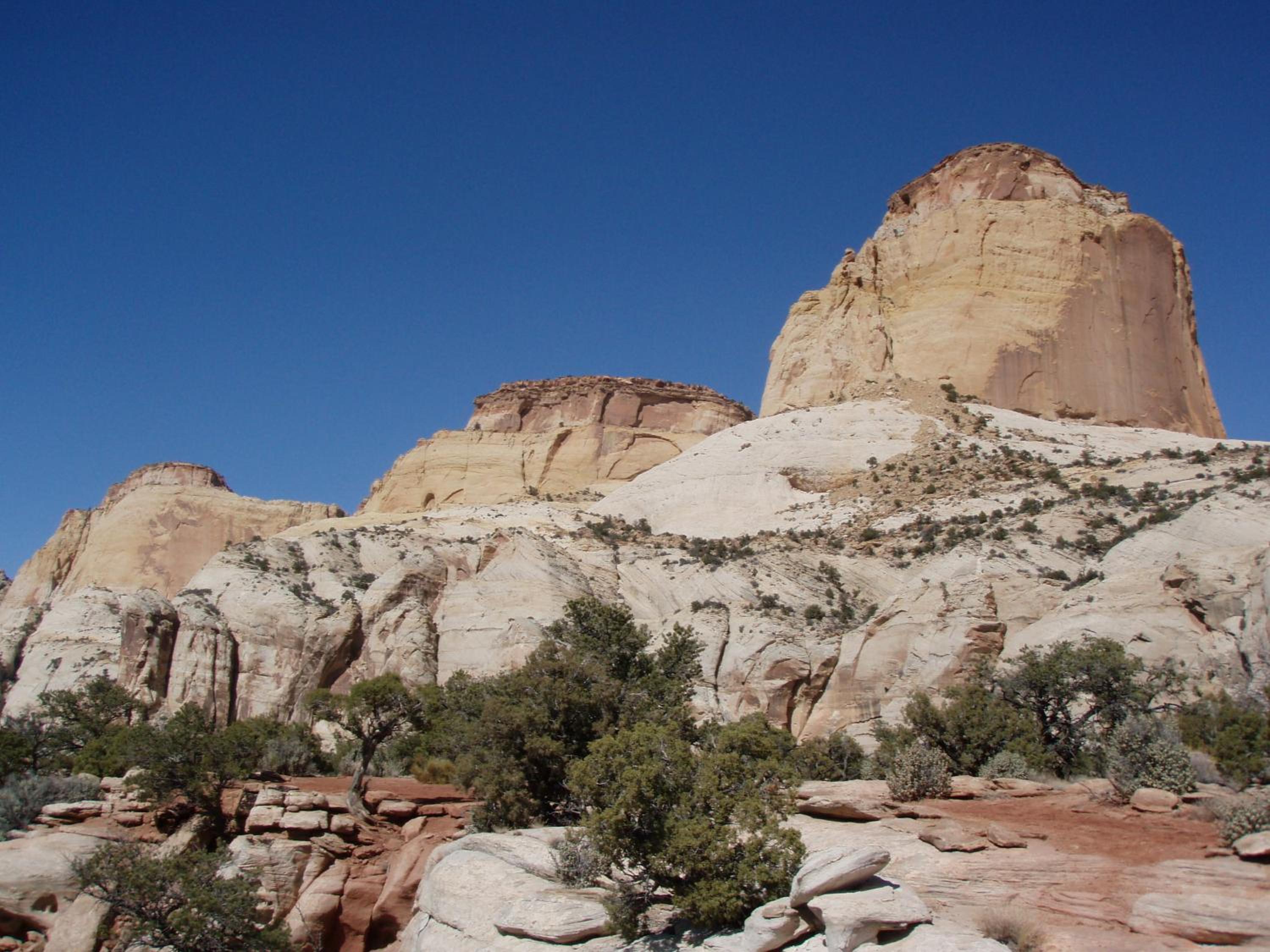 The Rim Rock Inn