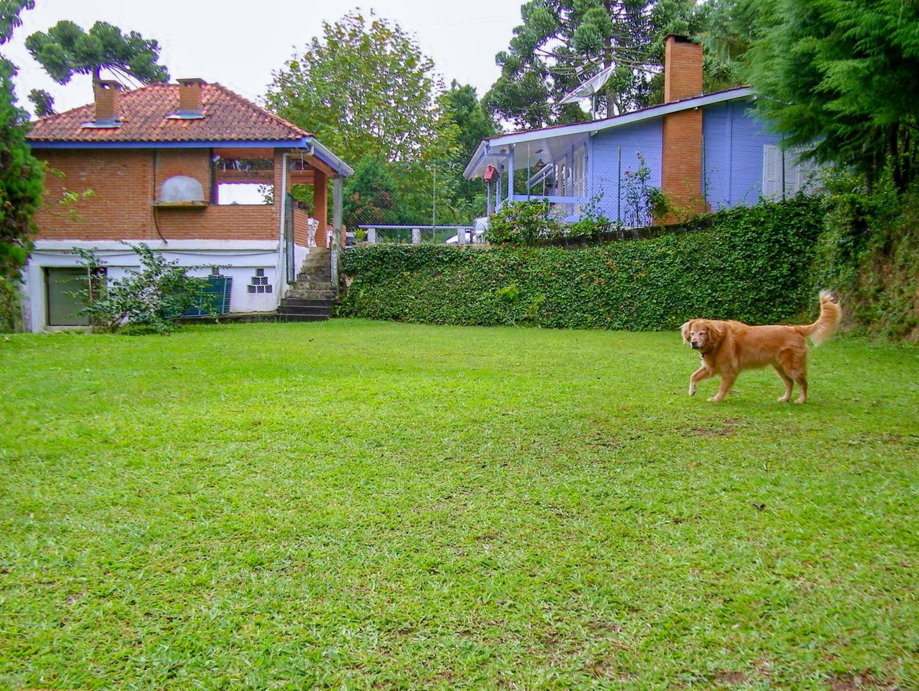 Parece um sonho - Campos do Jordão - SP