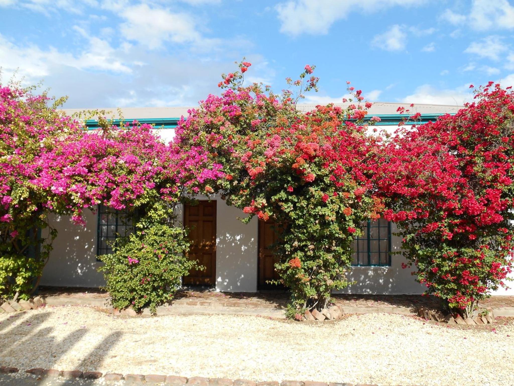 Obesa Lodge