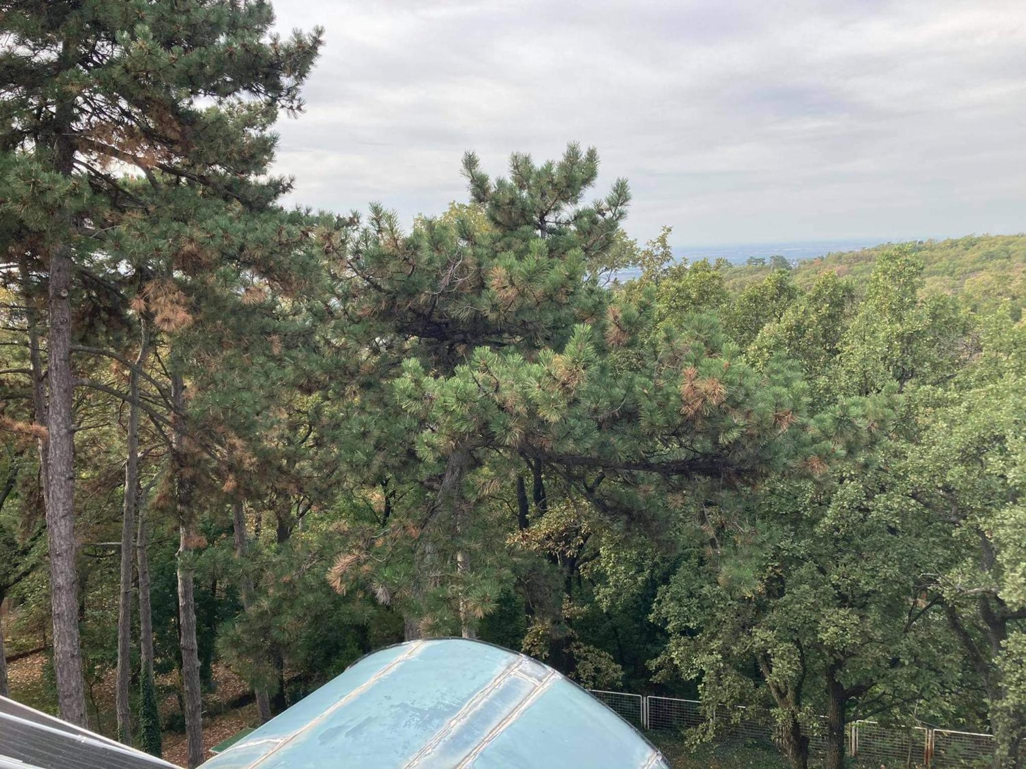Berg Toboz Panzió view 3