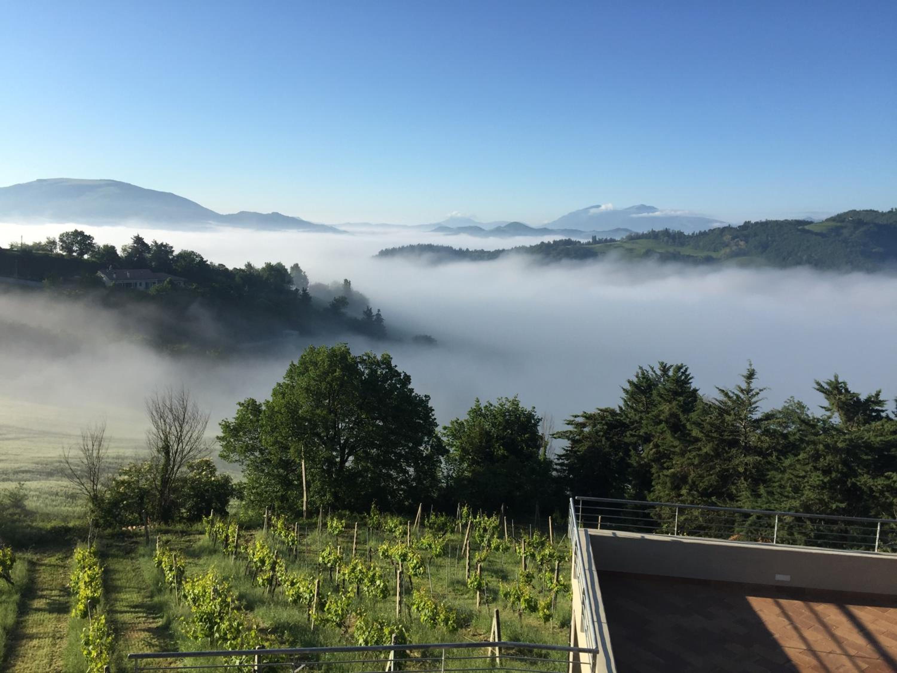 Green B&B Urbino Cá del vento, Billede 43