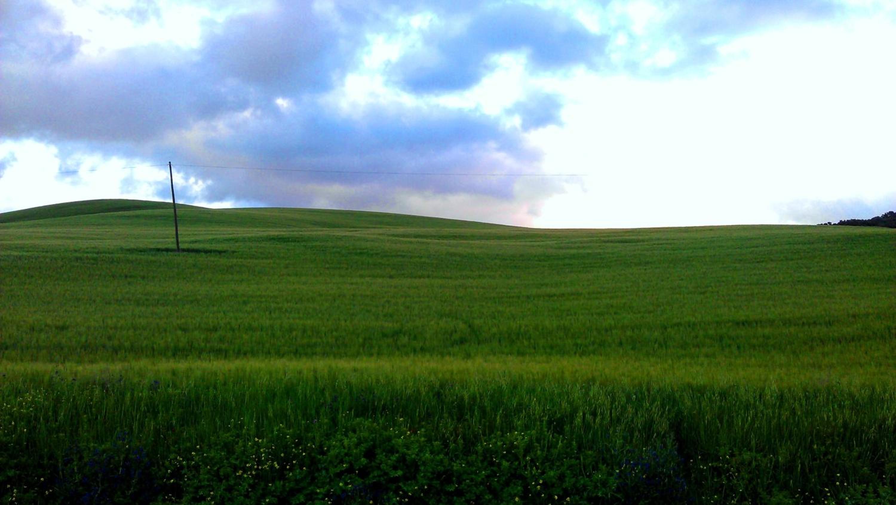 Photo 53