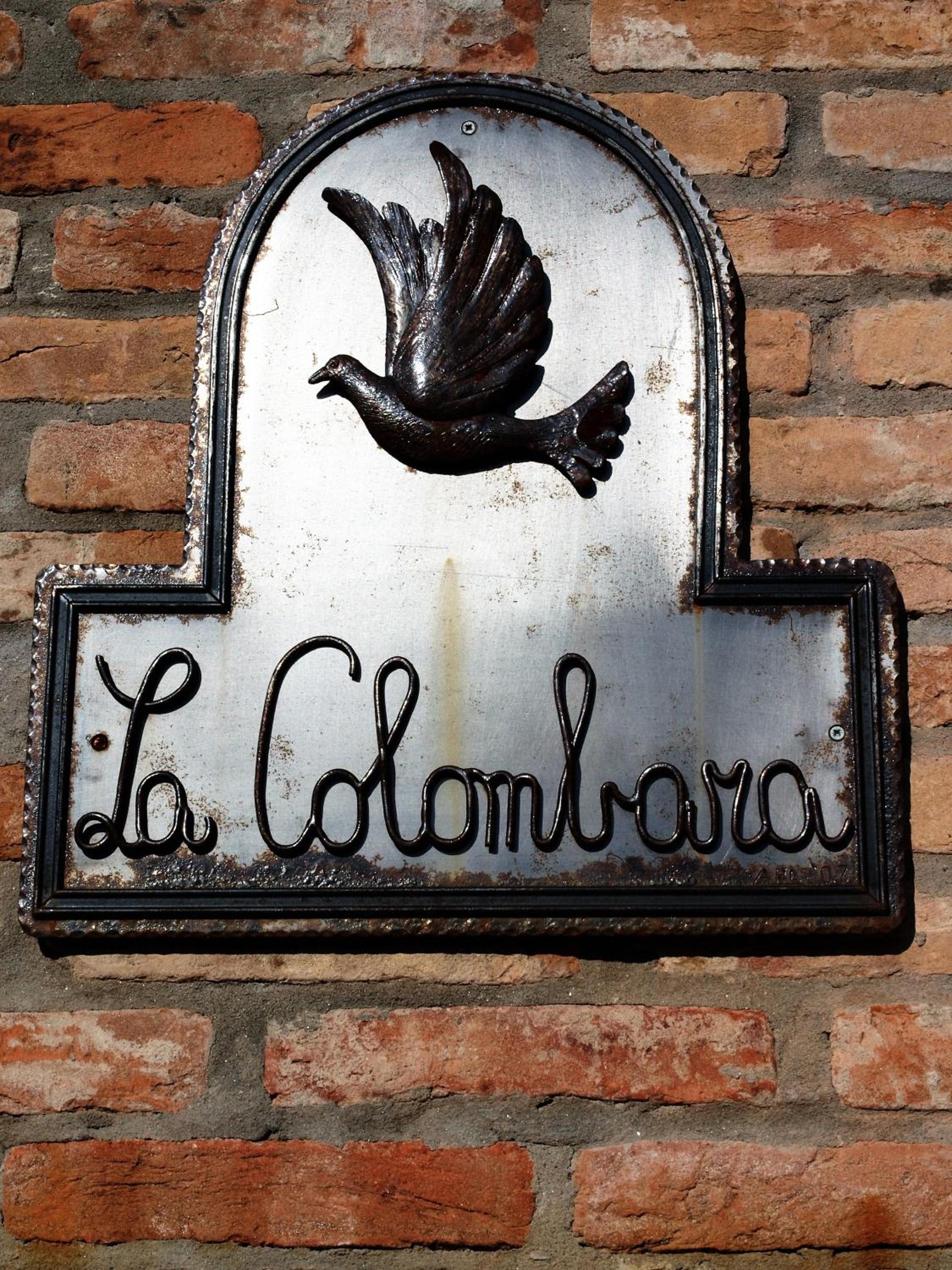 La Colombara - Fra i colli a 5 minuti dall'autodromo view 5
