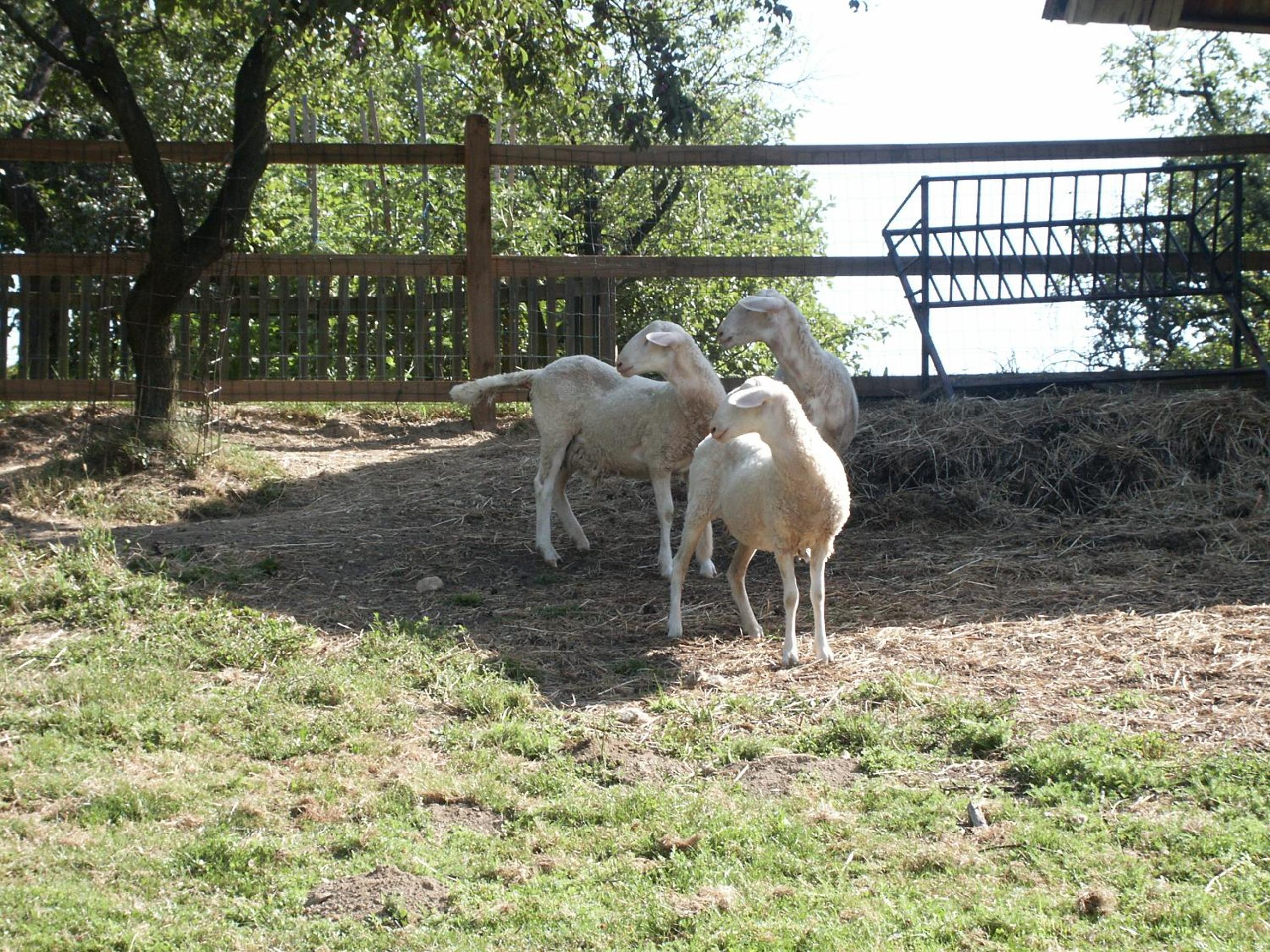 Photo 21