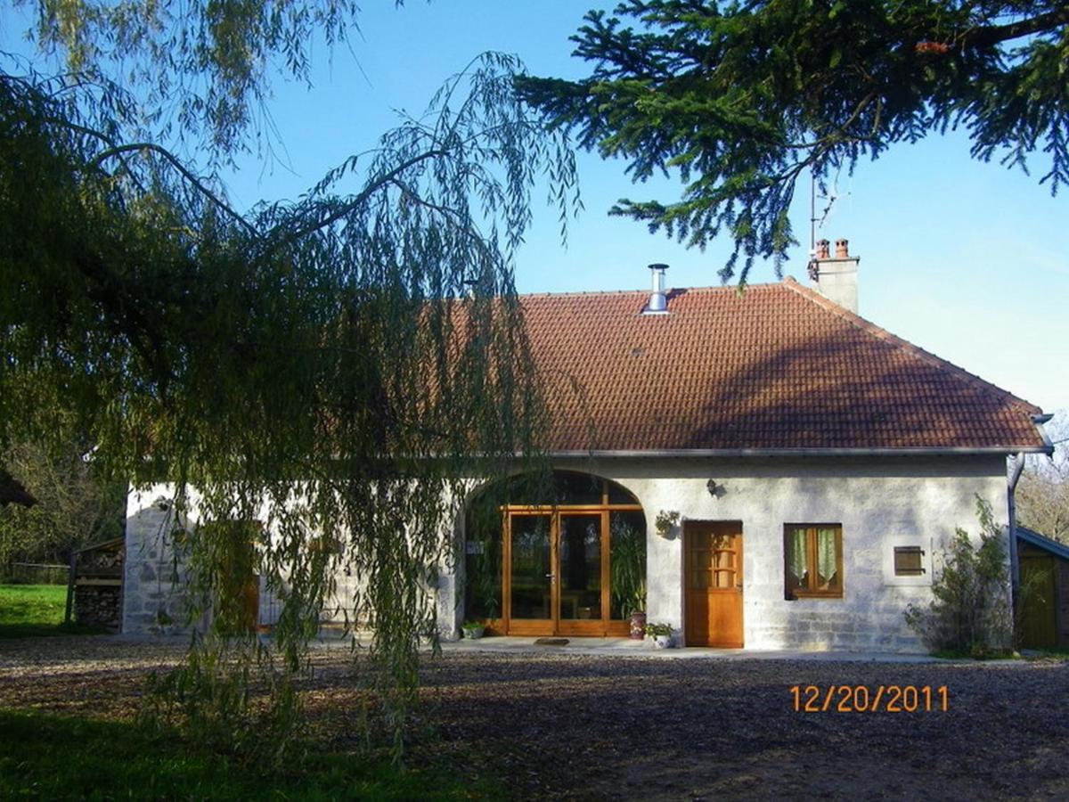 Photo 21