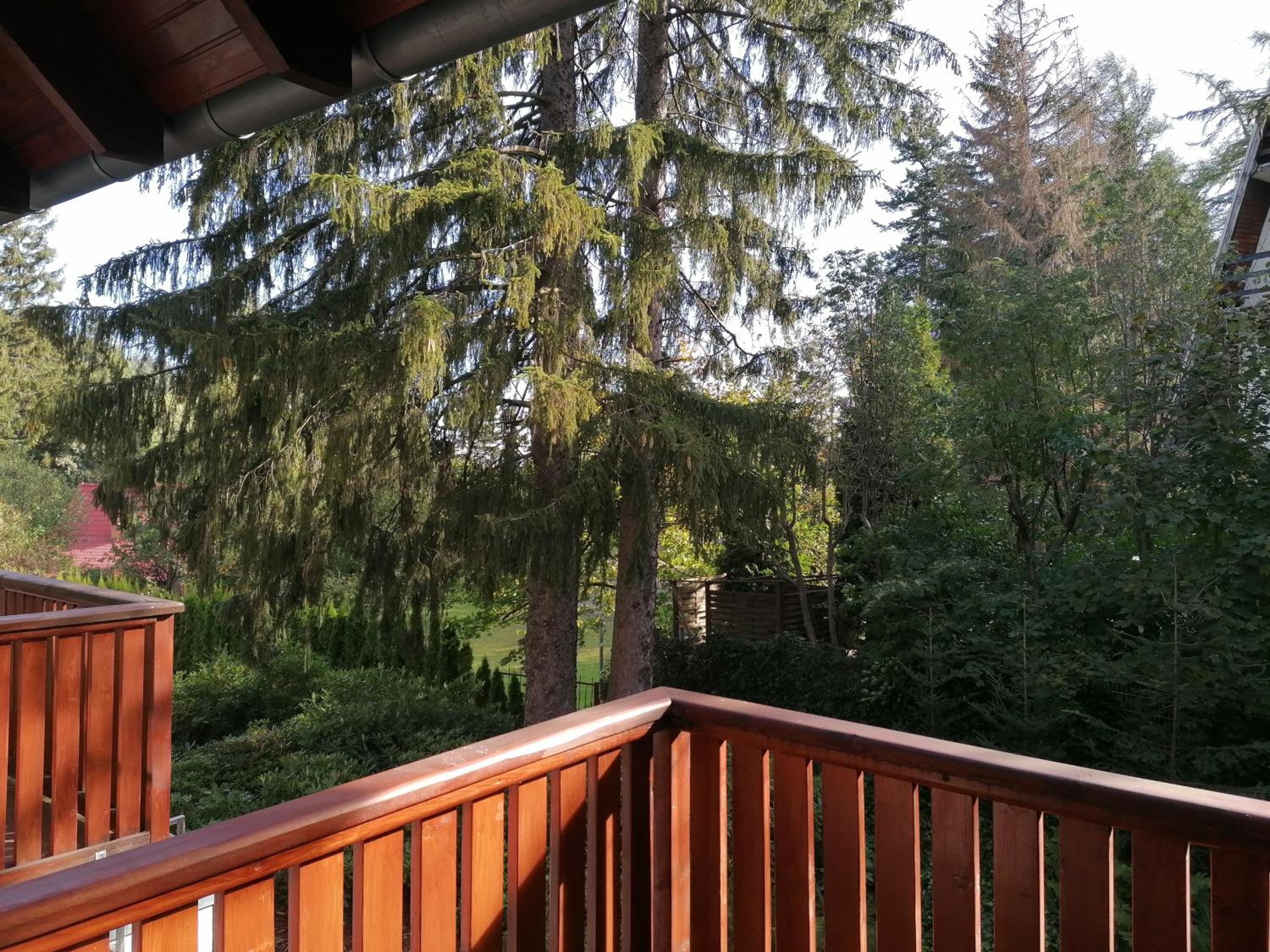 Apartament Bambusowy view 3