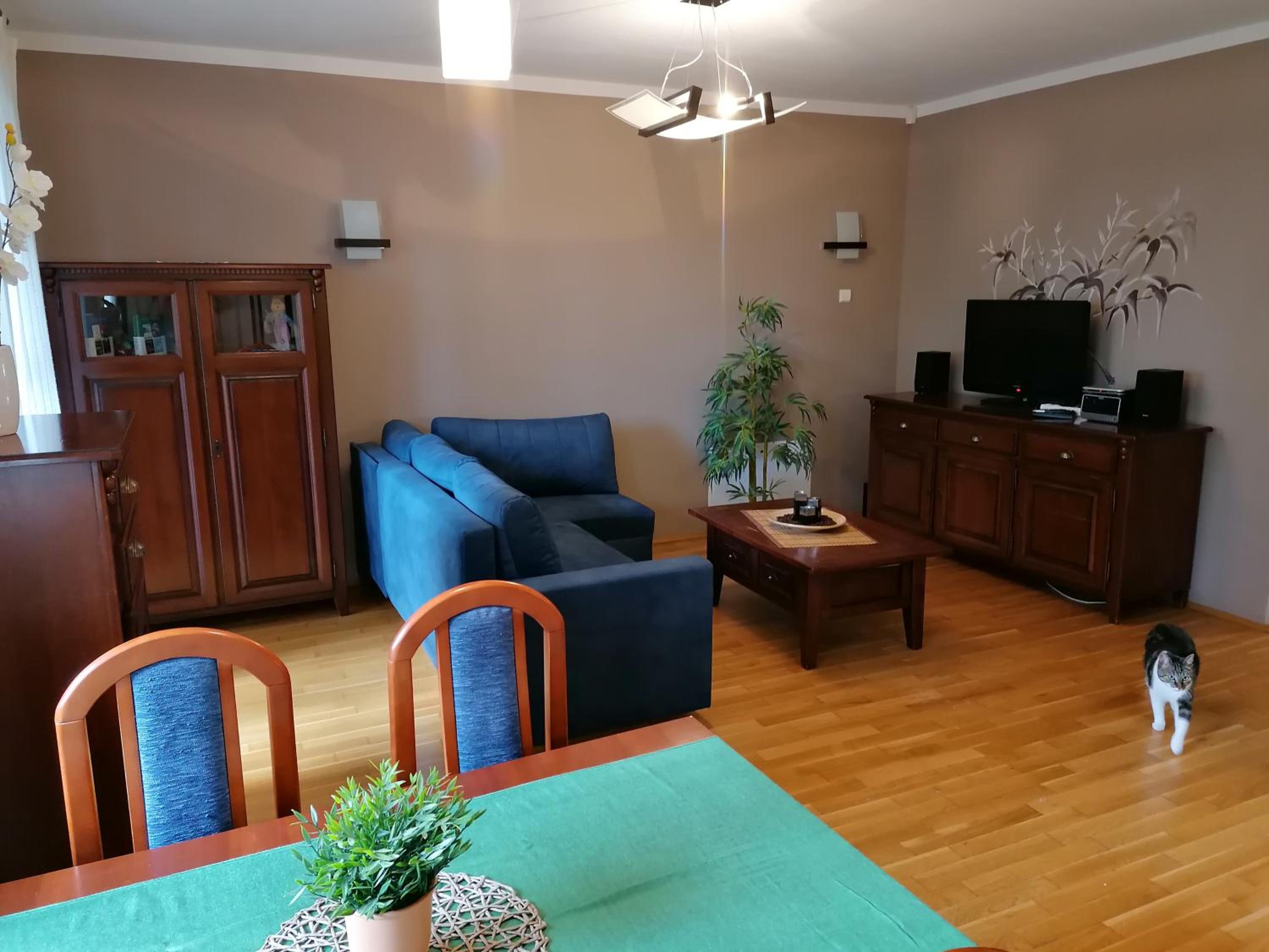 Apartament Bambusowy view 5