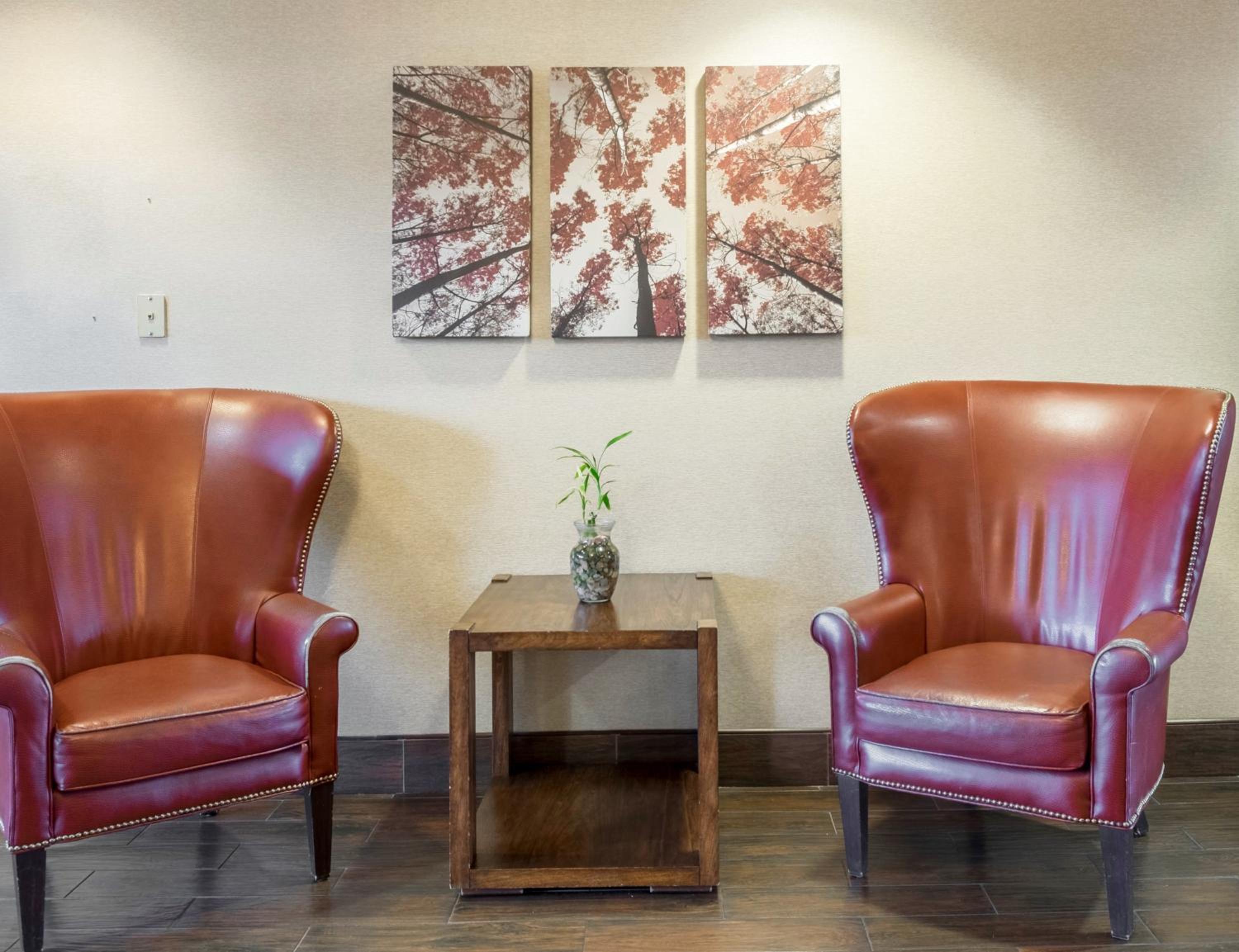 Dover Vacations - Red Roof Inn  Suites Dover Downtown - Property Image 5