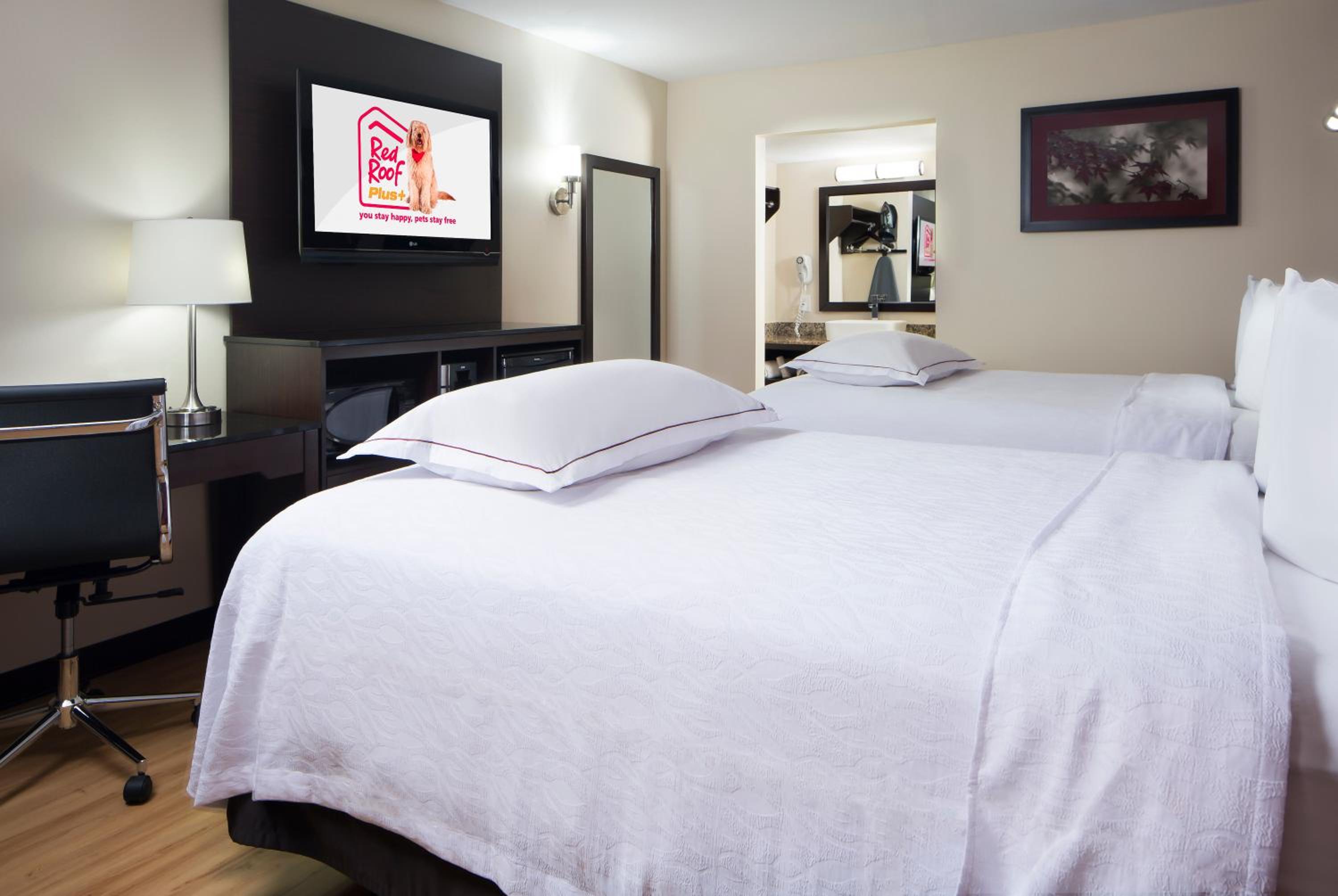 Birmingham Vacations - Red Roof Inn PLUS Birmingham East - Irondale/Airport - Property Image 2