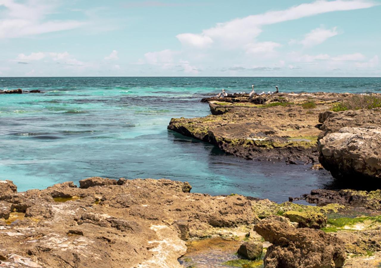 Kaanal Tulum view 4