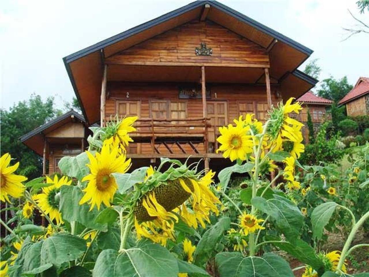ภูน้ำทิพย์ รีสอร์ท view 5