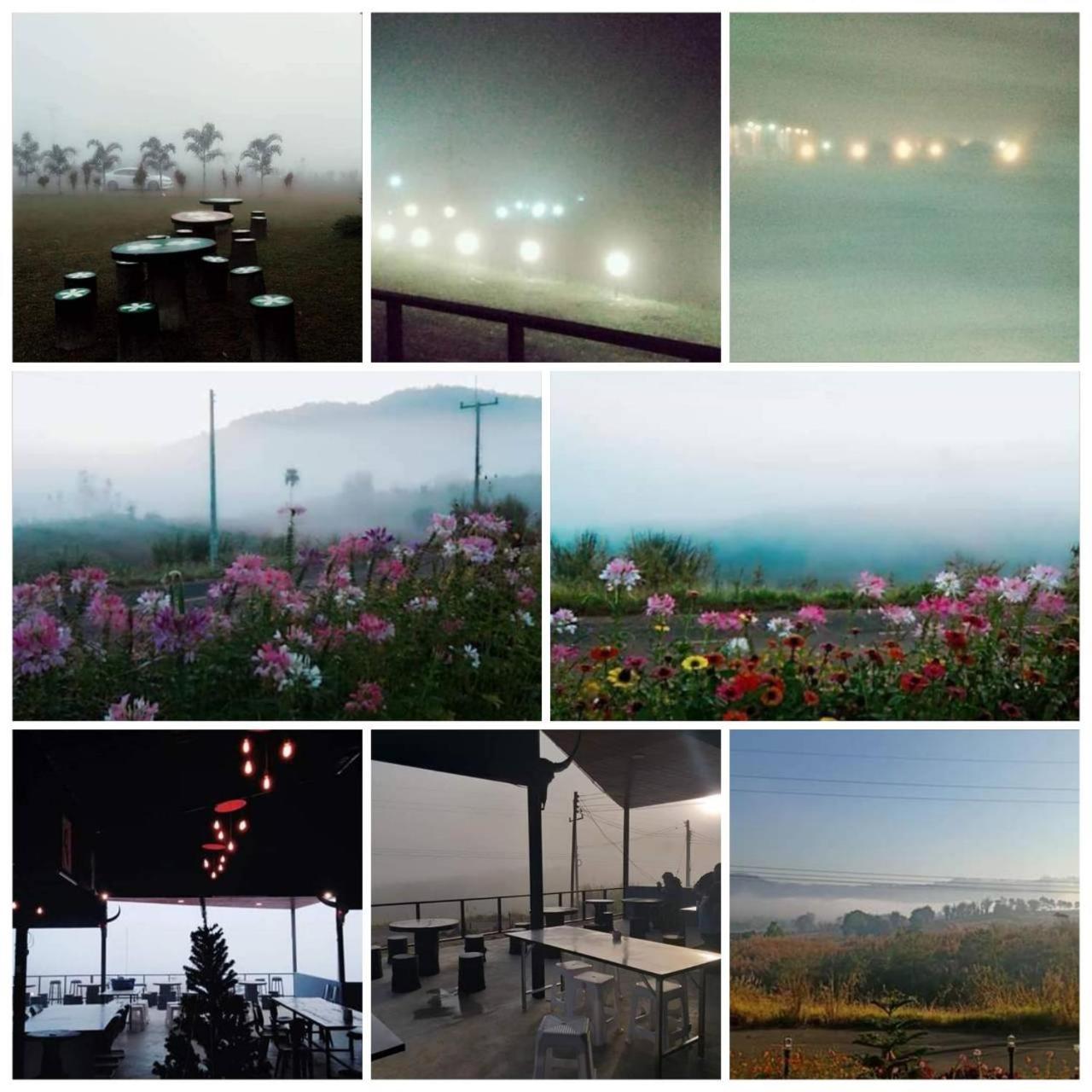 Photo 100