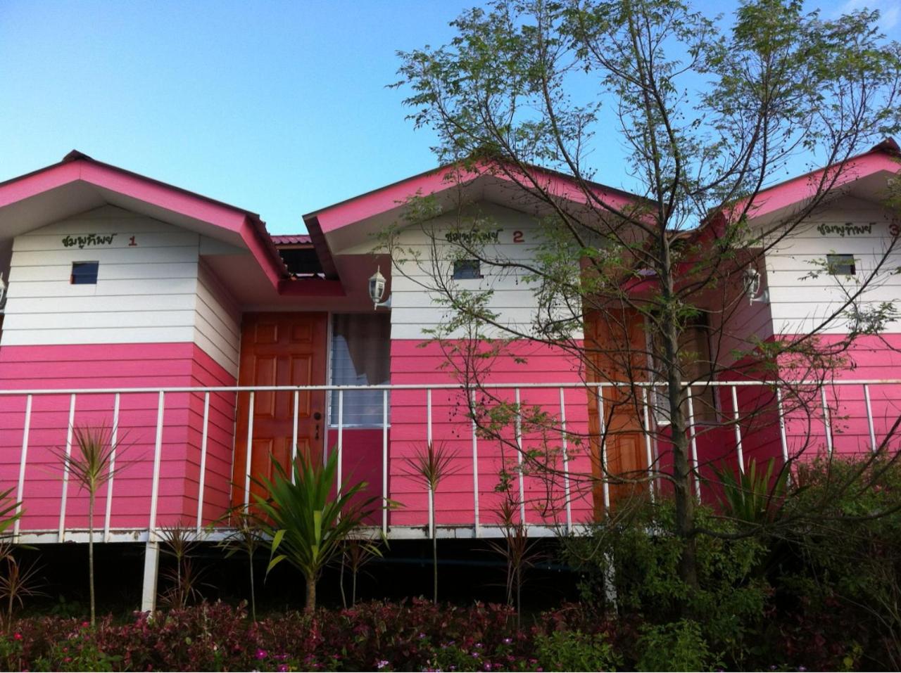 ภูน้ำทิพย์ รีสอร์ท view 3