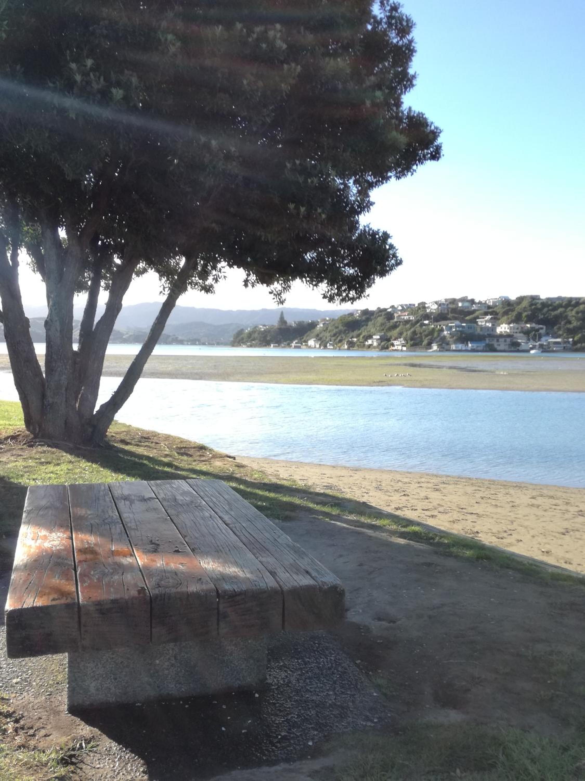 Photo 15