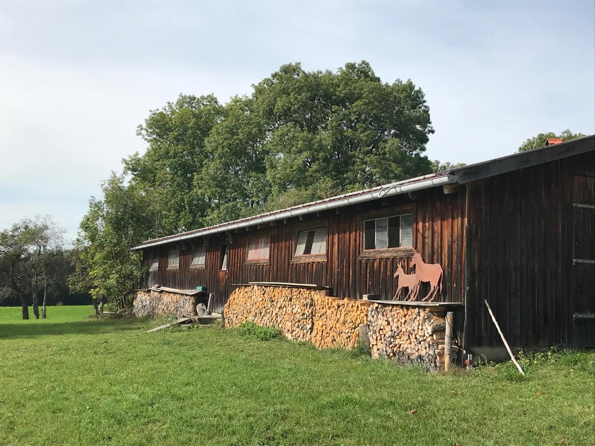 Ferienwohnung mit Alpenblick - Property Image 11