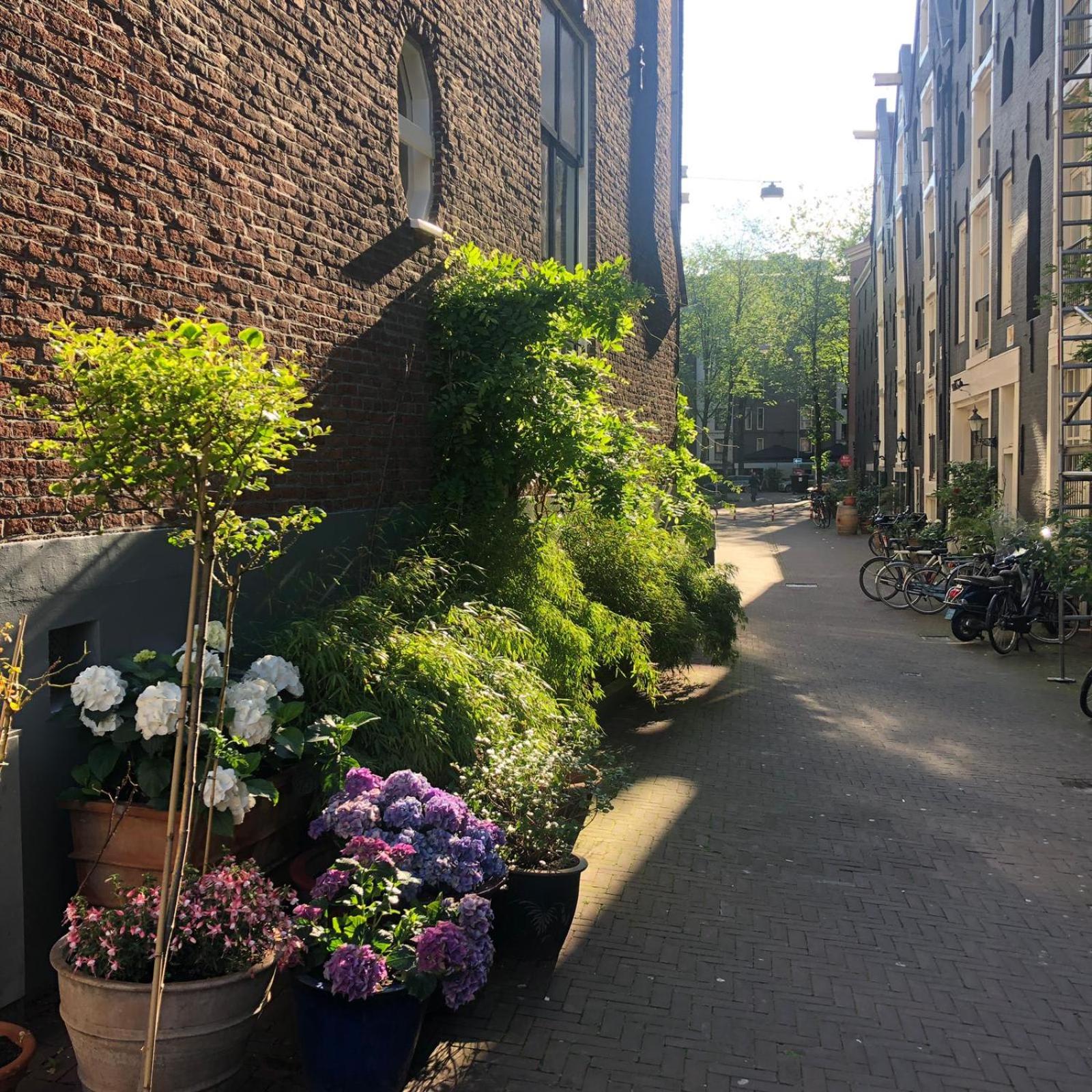 Studio Koggeschip