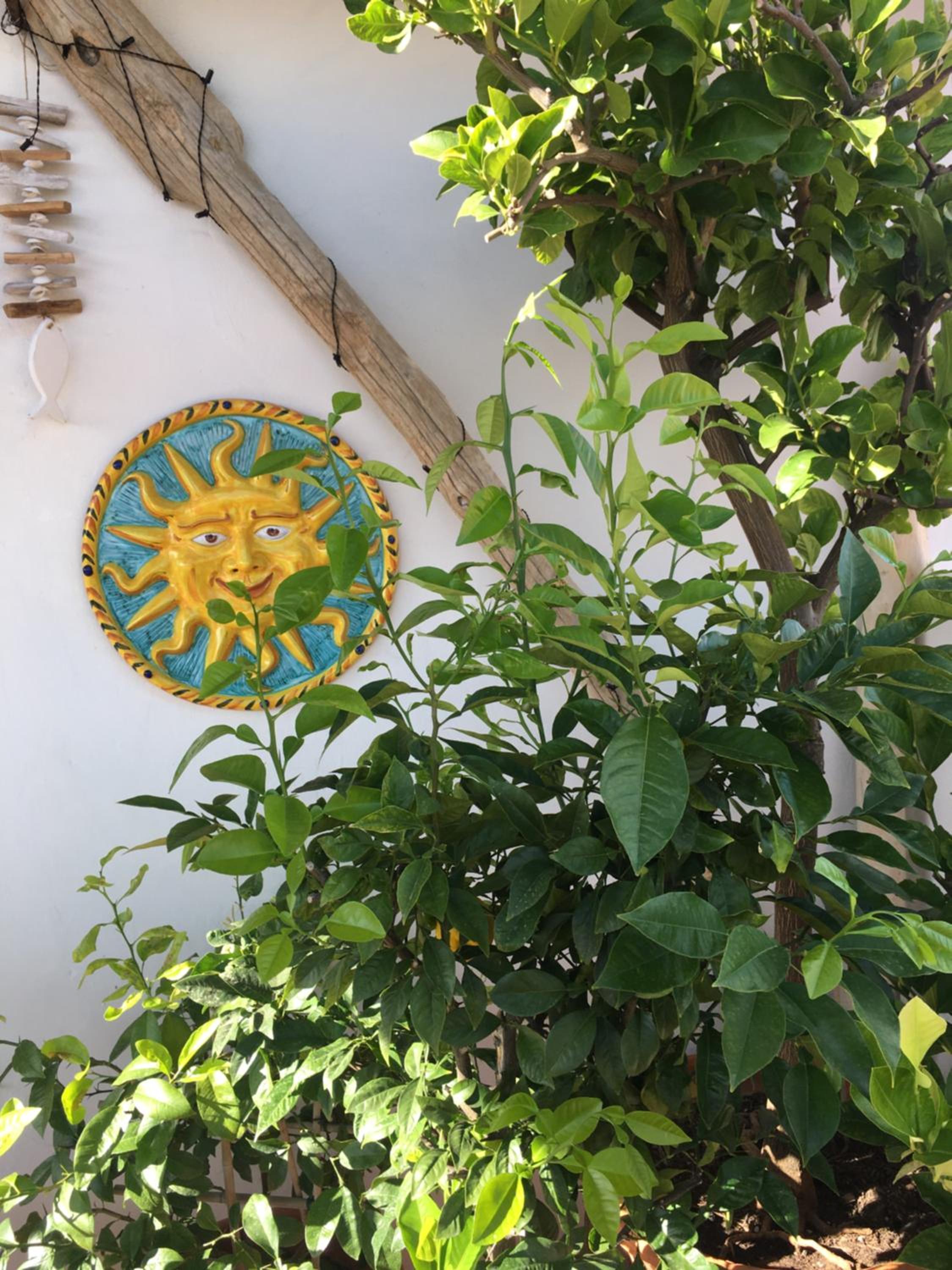 La Terrazza Sui Tetti, photo 22