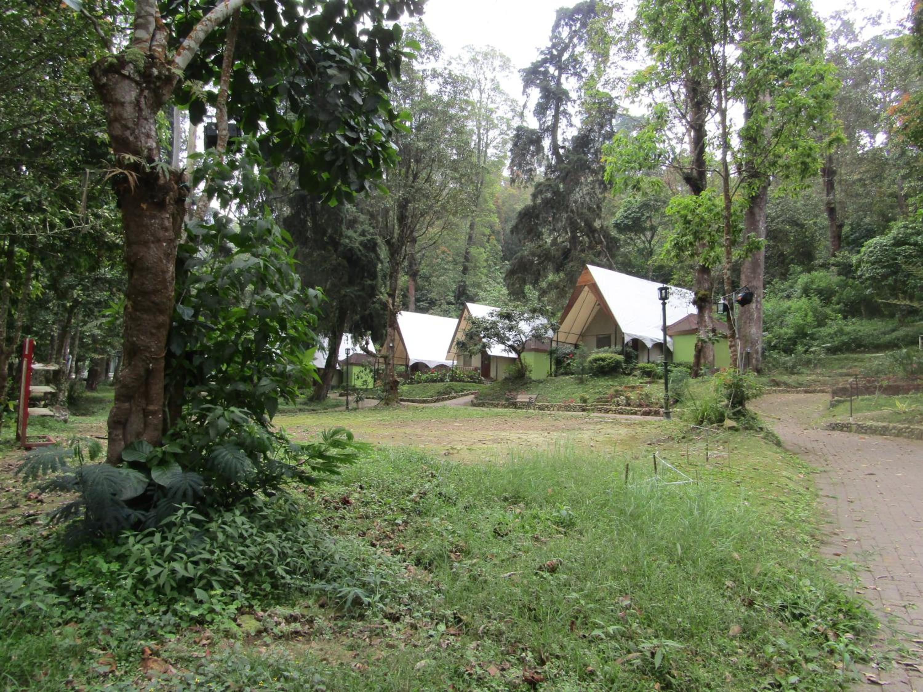 Lawu Forest Camp view 3