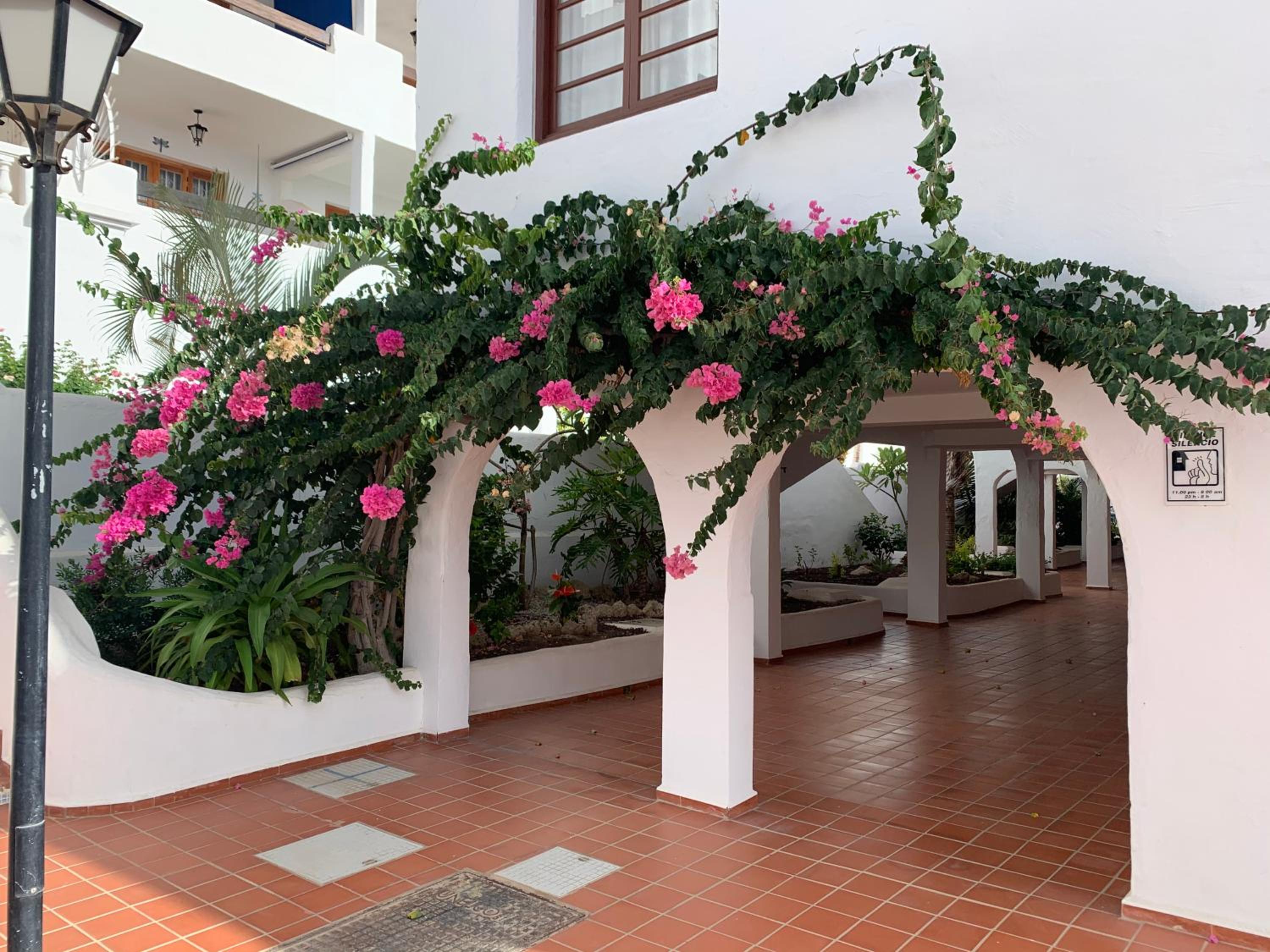 Sunny Tenerife, Los Cristianos, Studio view 5
