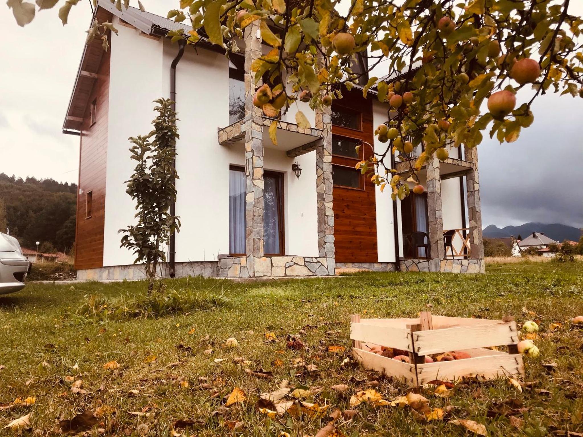 Photo 31