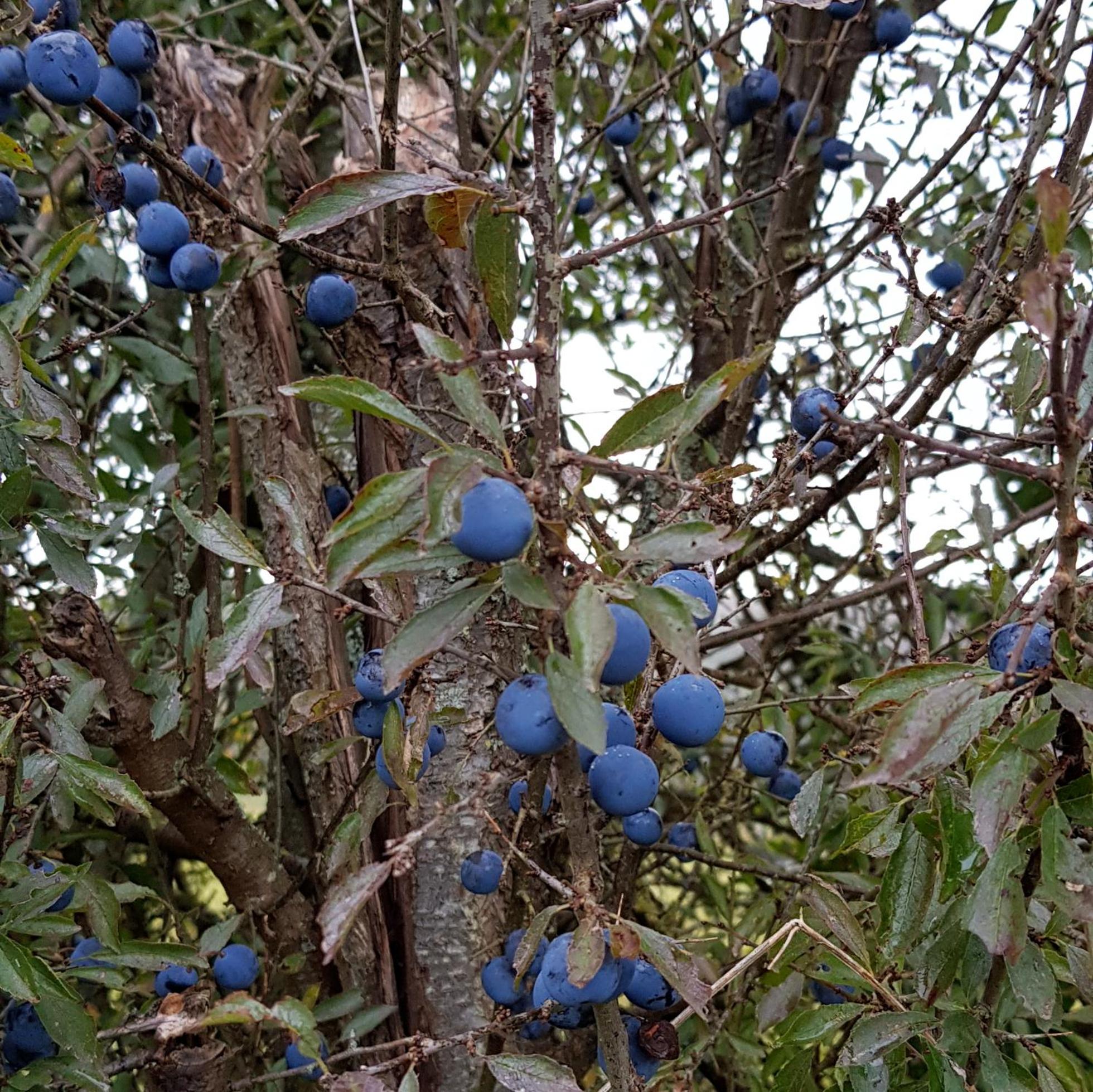 Gite L'éternité