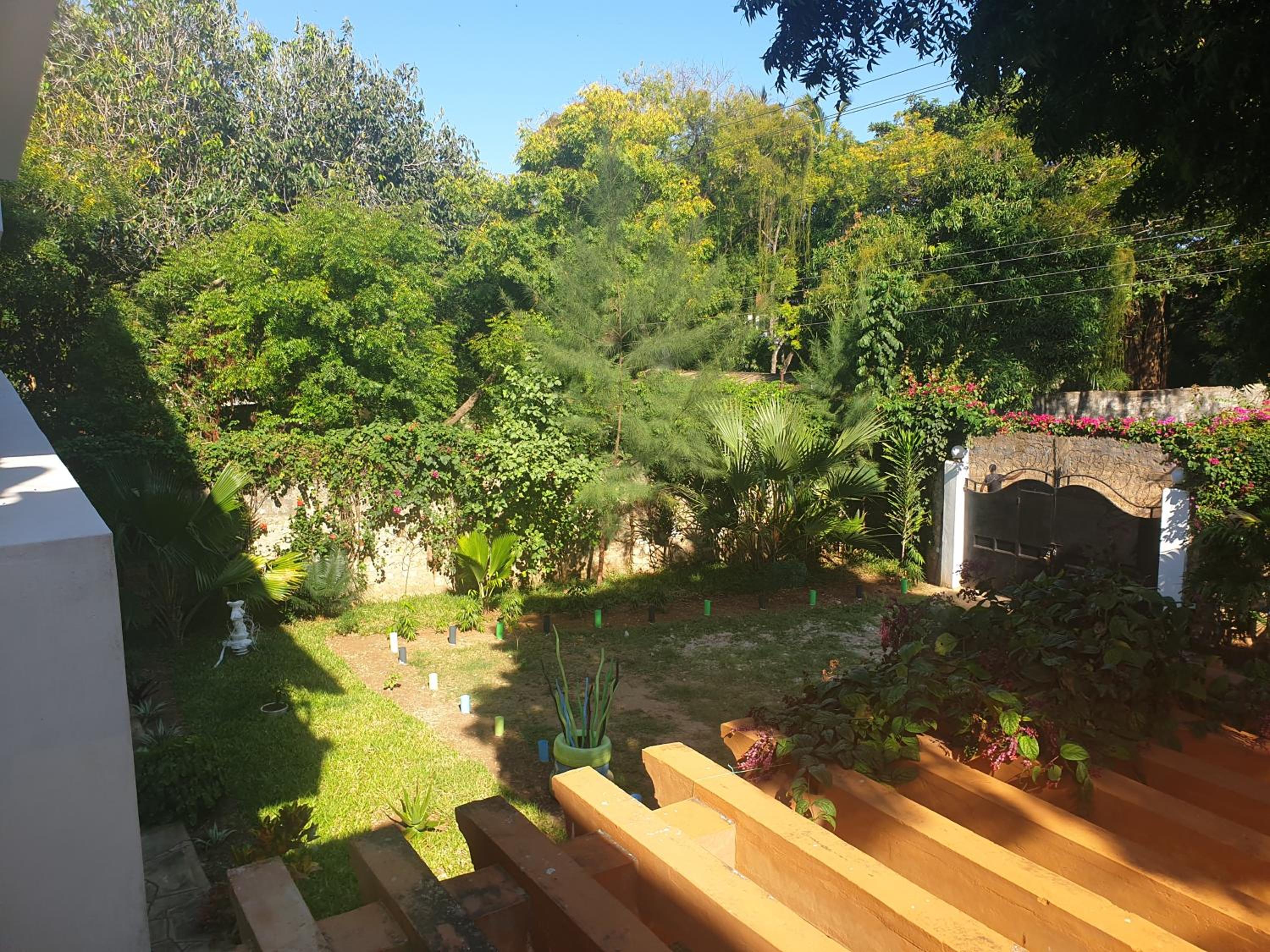 Photo 43