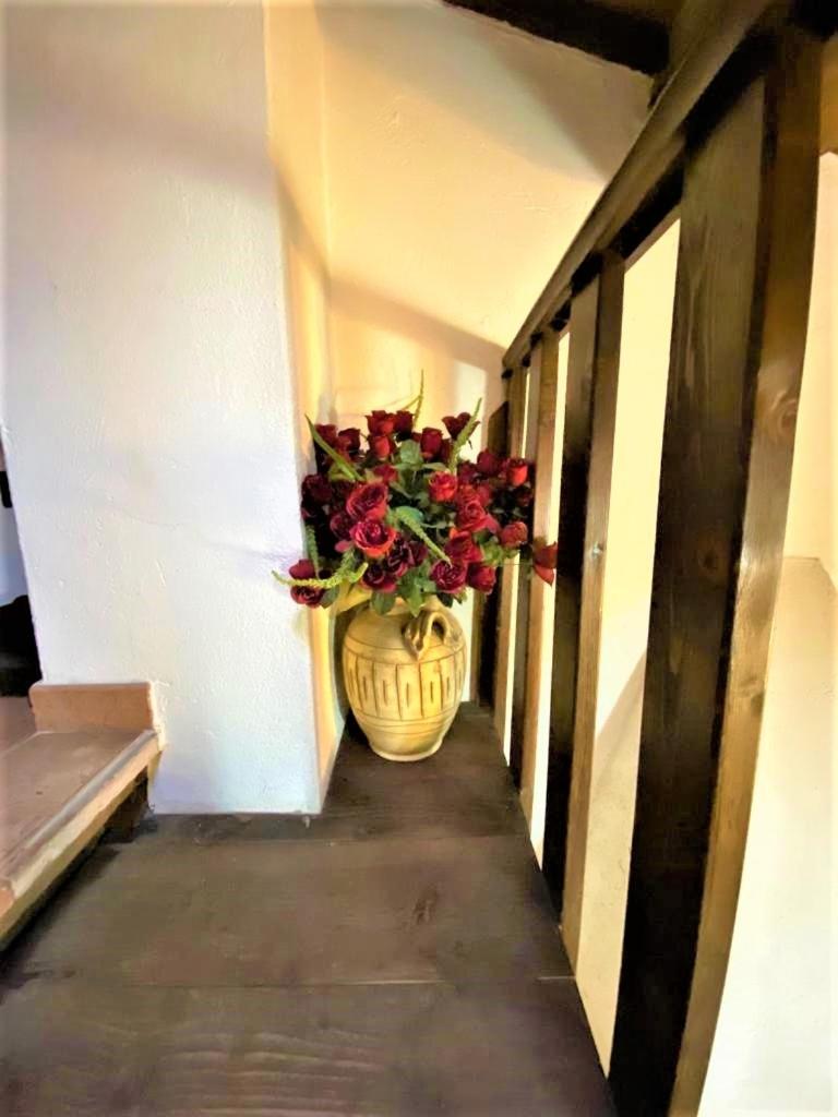 Photo 44