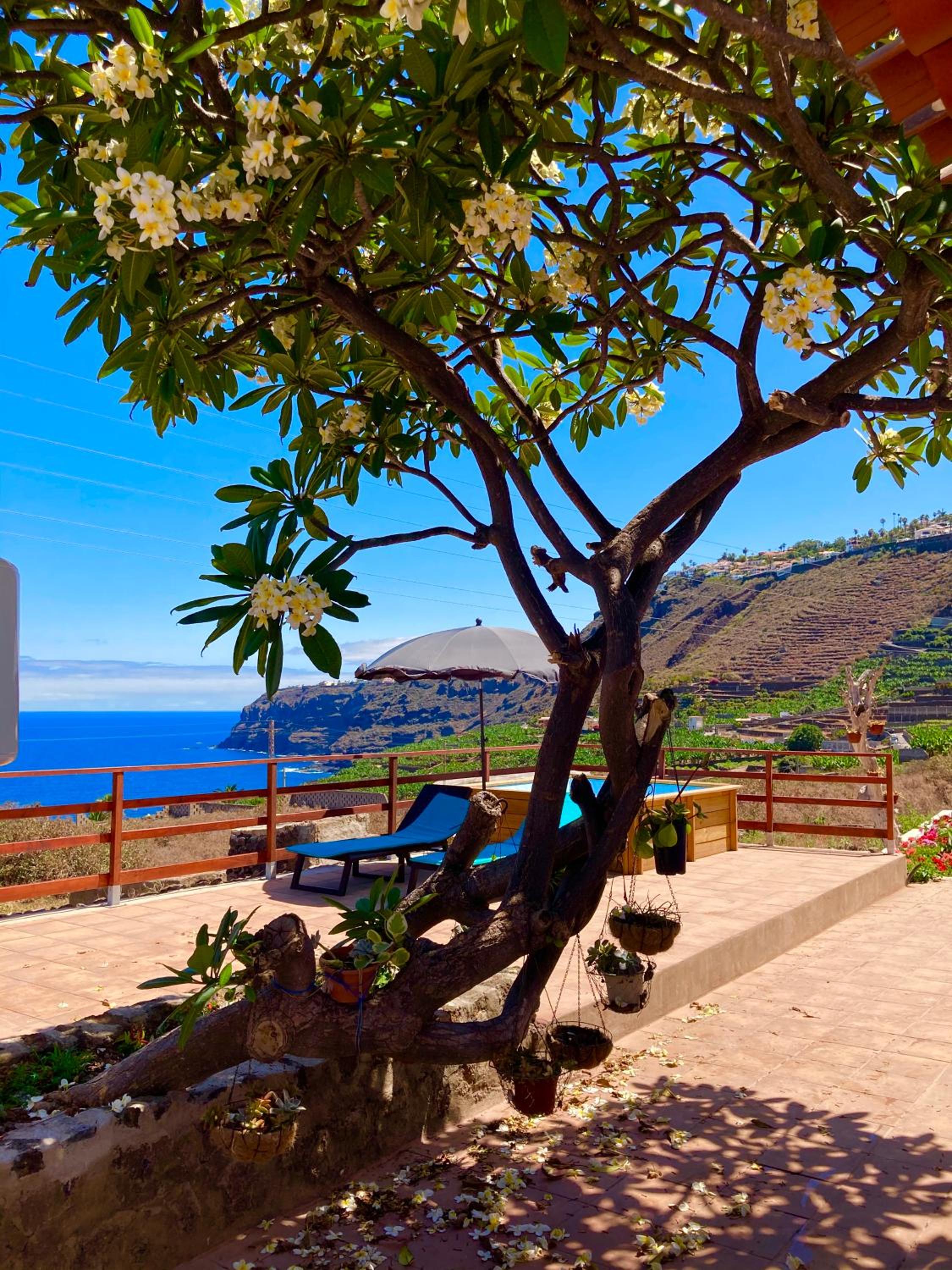 Rincón del Mar , Espacio Natural view 3
