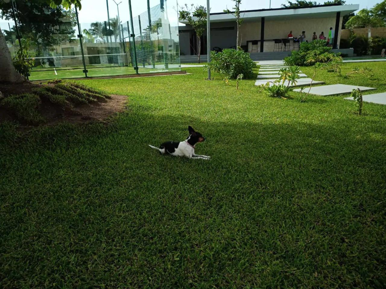 Photo 15